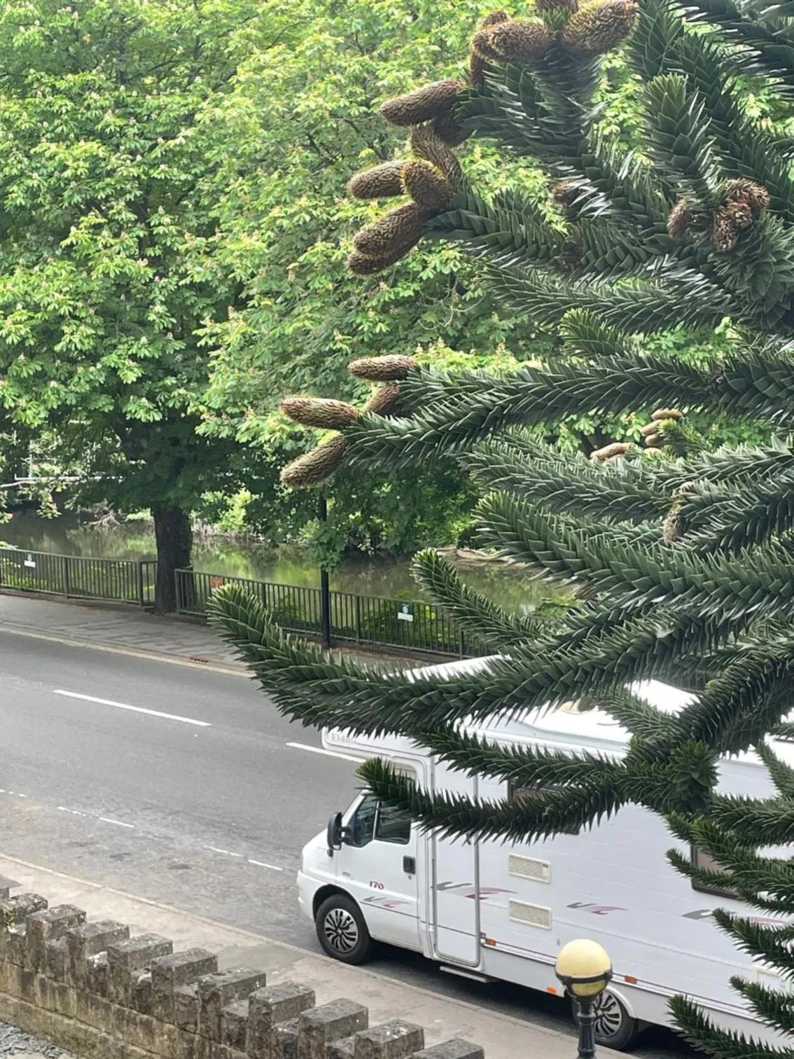 View (from property/room) in Ashdale Guesthouse