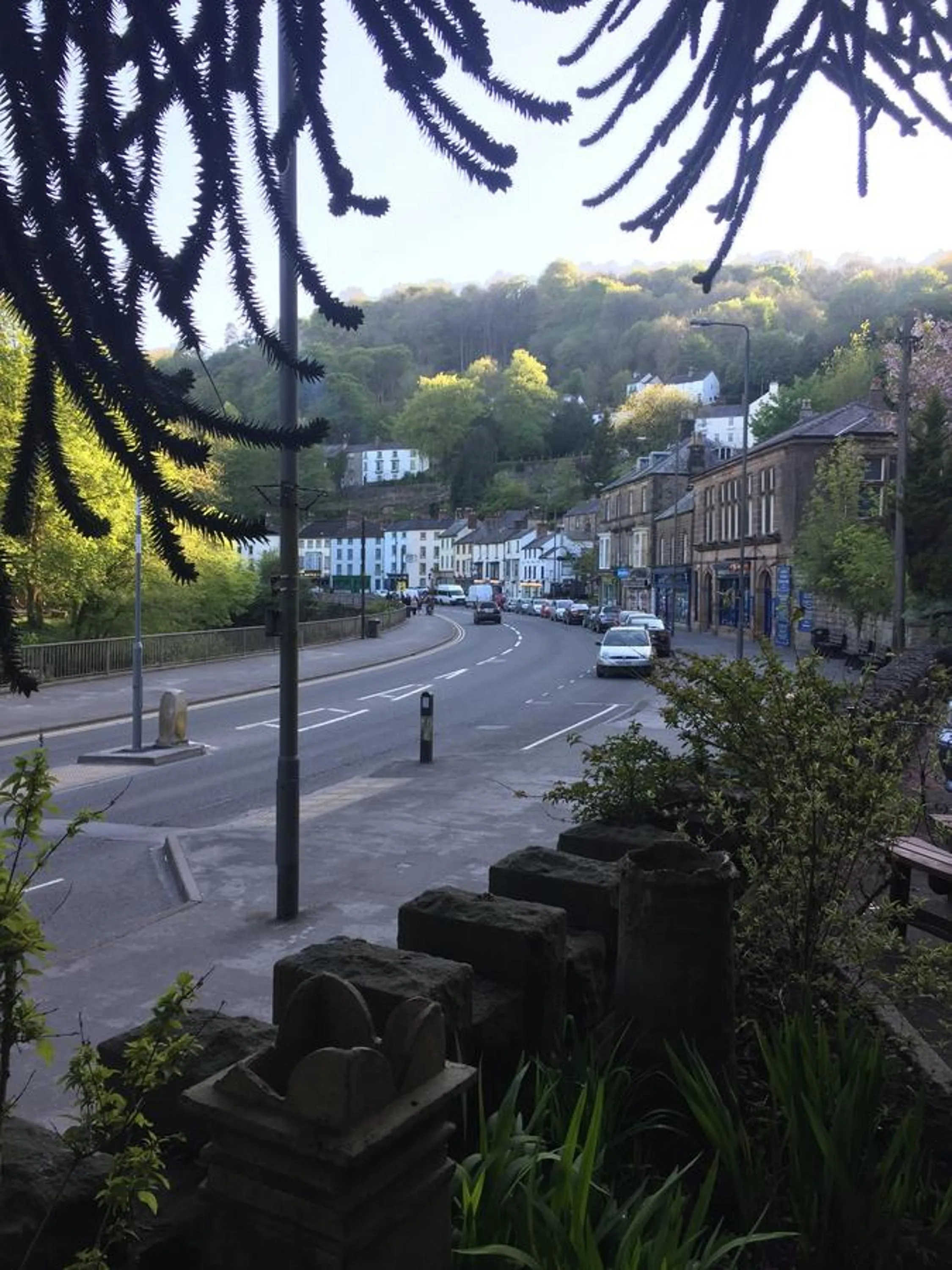 Street view in Ashdale Guesthouse