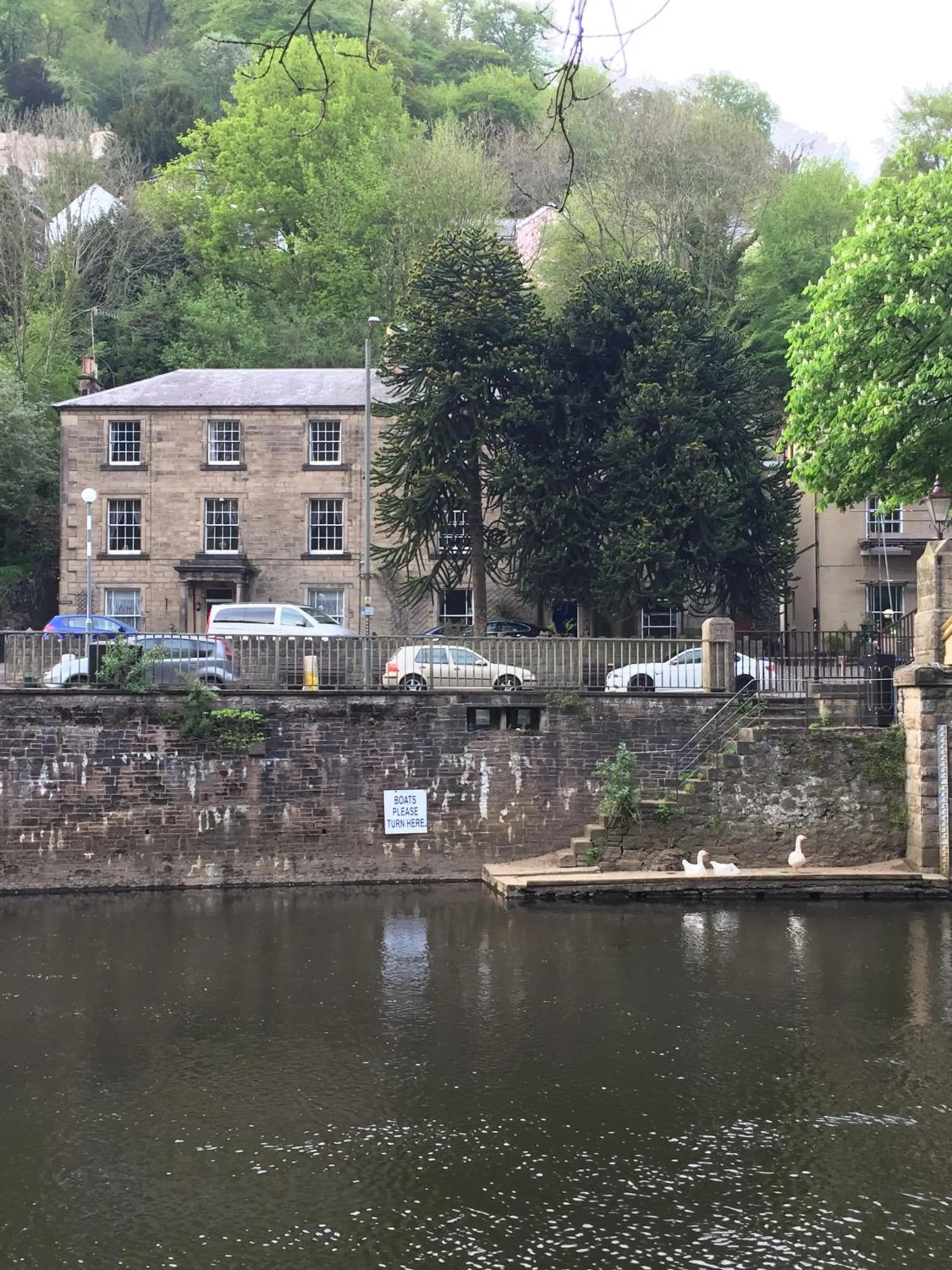 River view in Ashdale Guesthouse