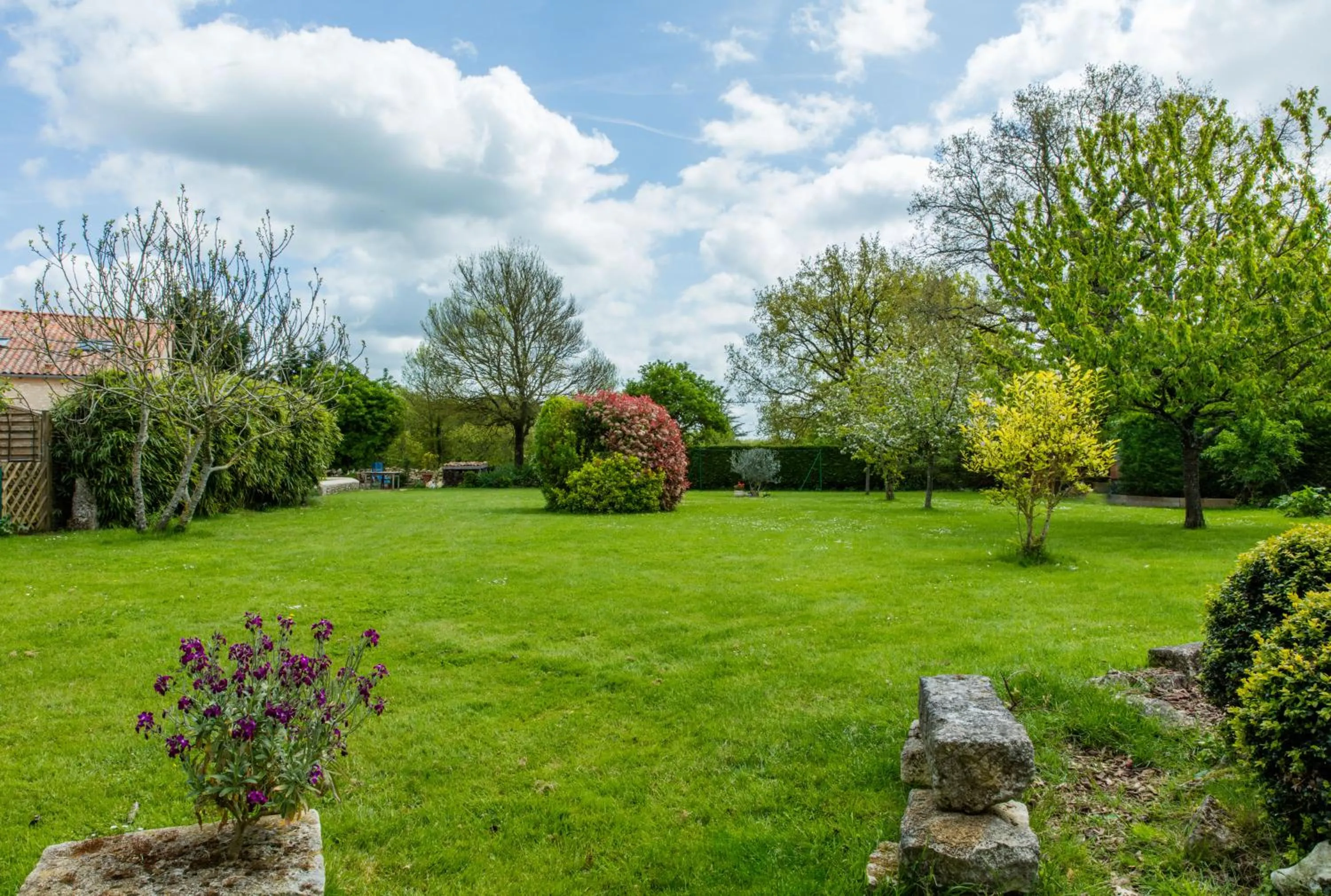 Garden in The Wild Seeds
