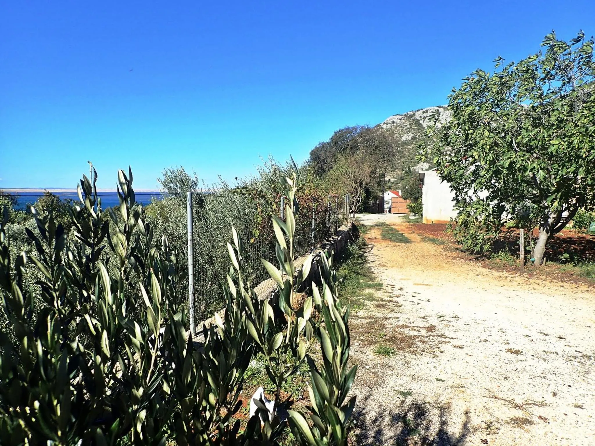 Inner courtyard view in Holiday Home Milovci