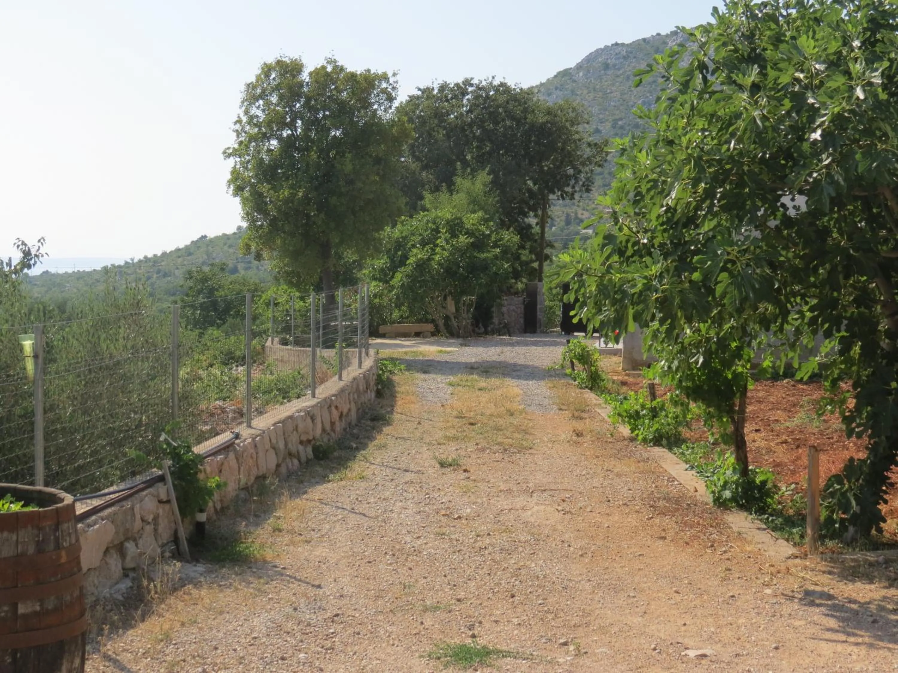 View (from property/room) in Holiday Home Milovci