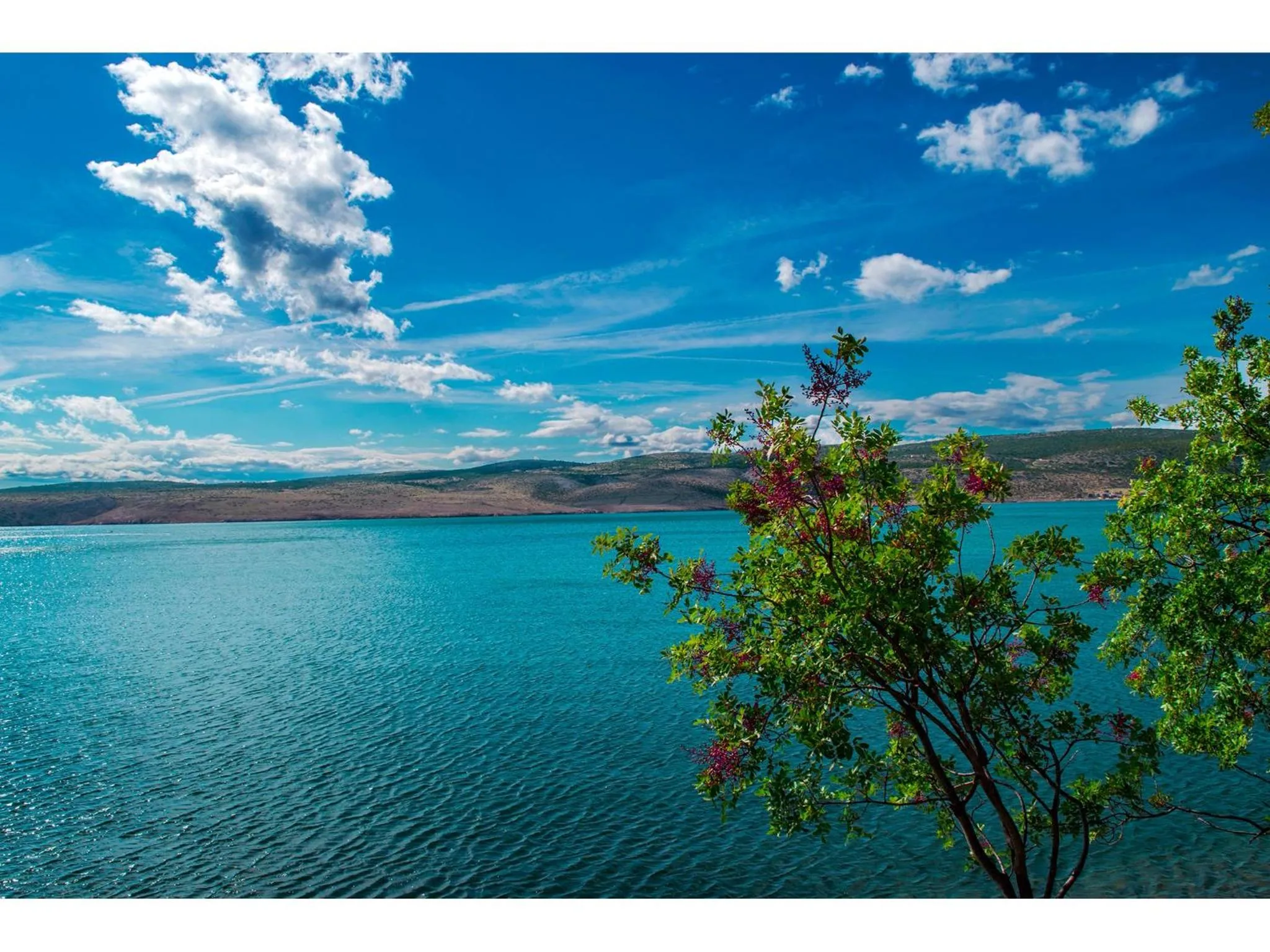 Natural landscape in Holiday Home Milovci