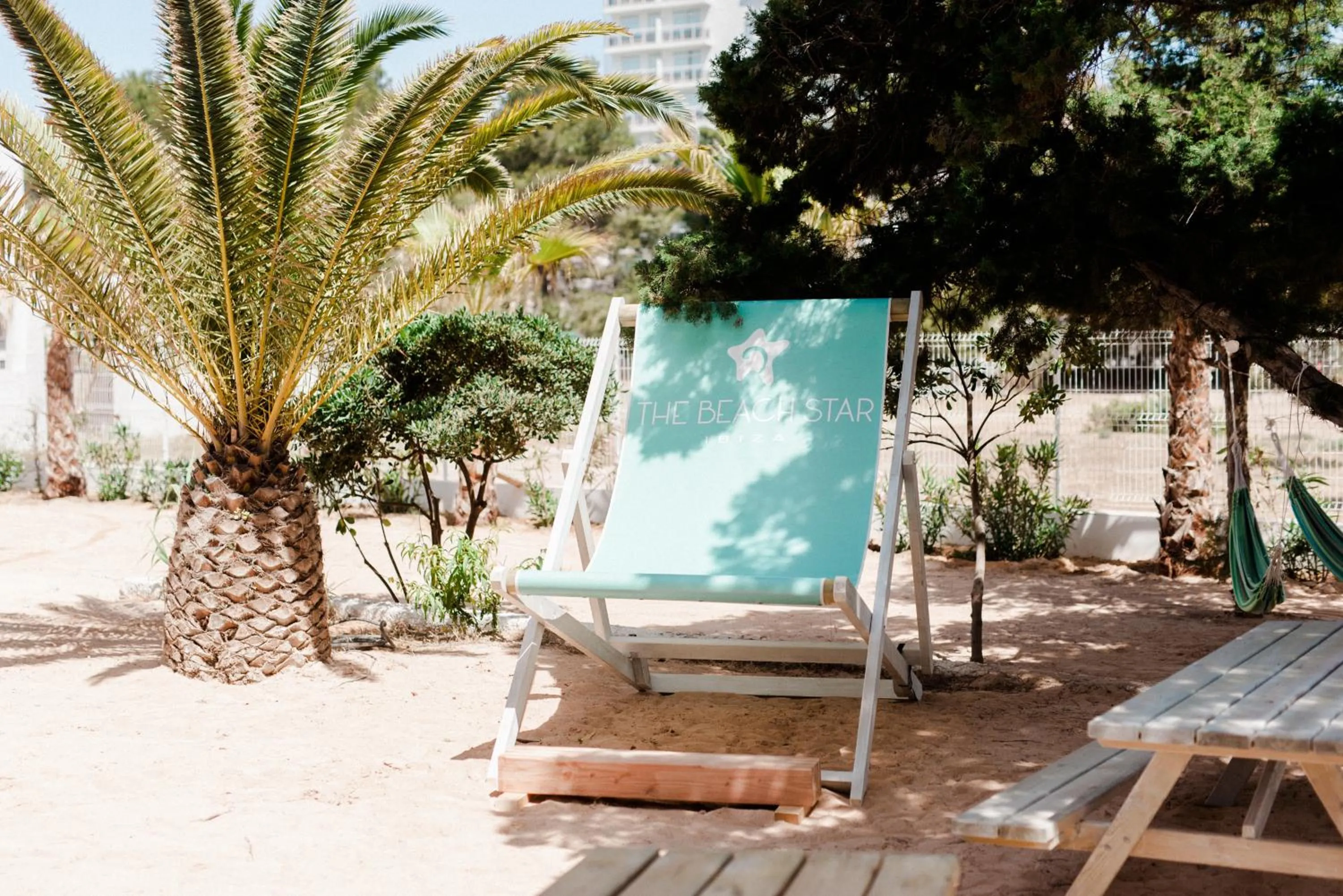 Garden in Beach Star Ibiza