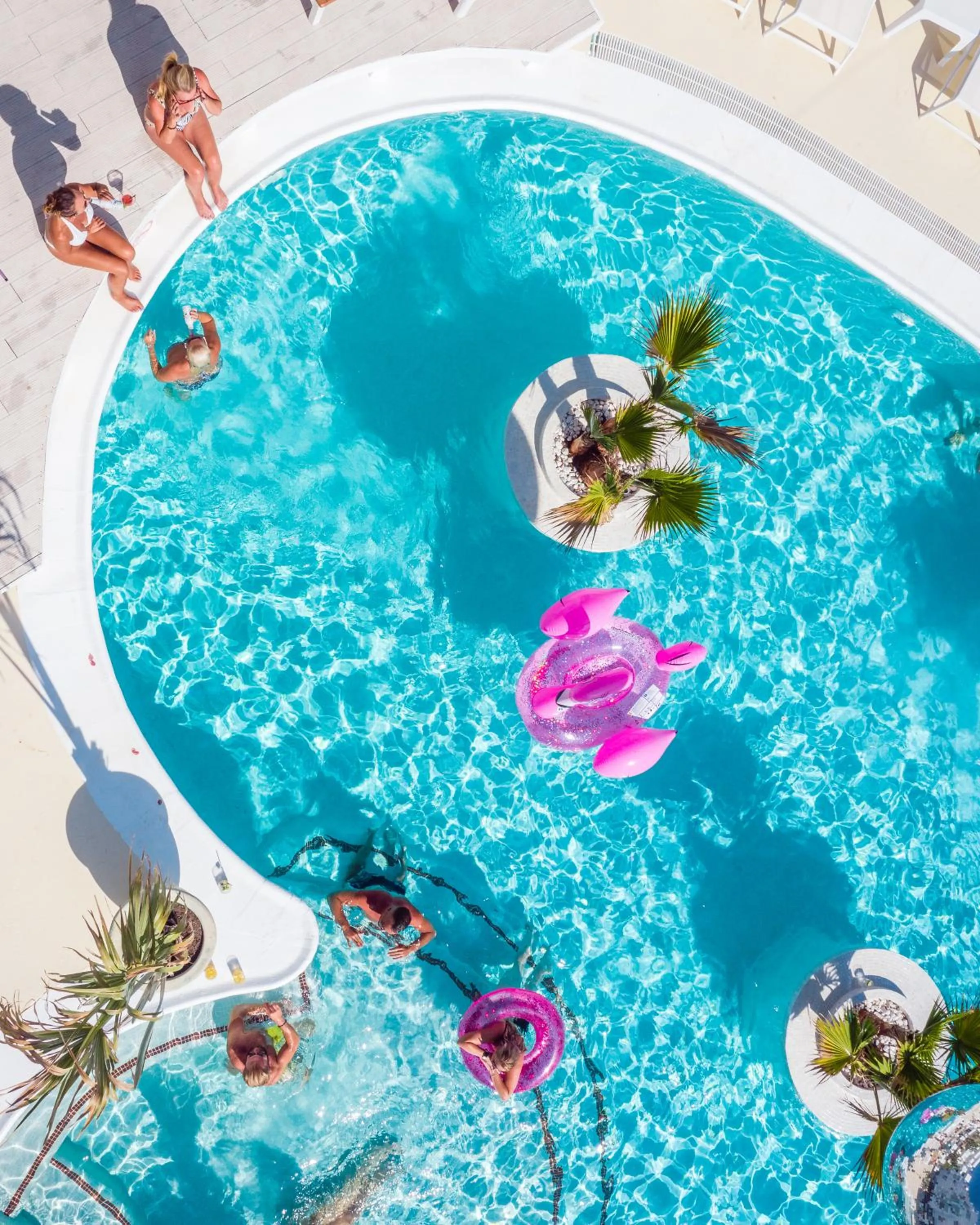 Swimming pool in Beach Star Ibiza