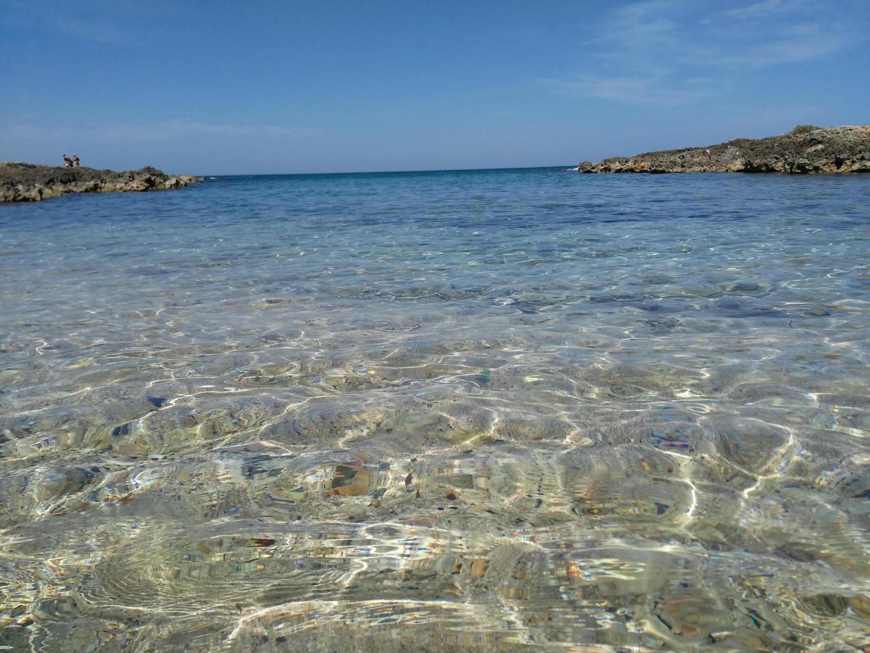 Other in La Suite nel Bosco