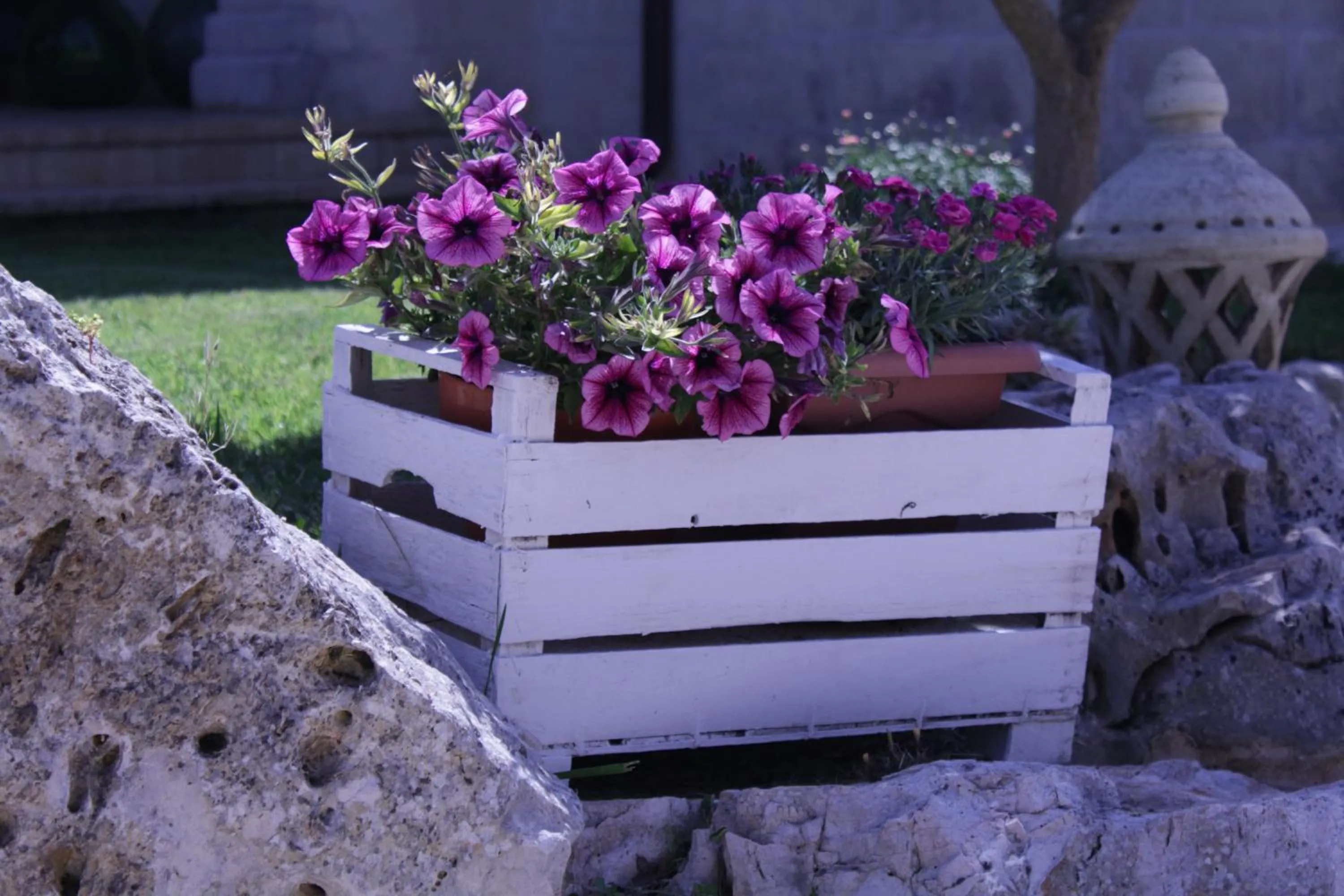 Summer in La Suite nel Bosco