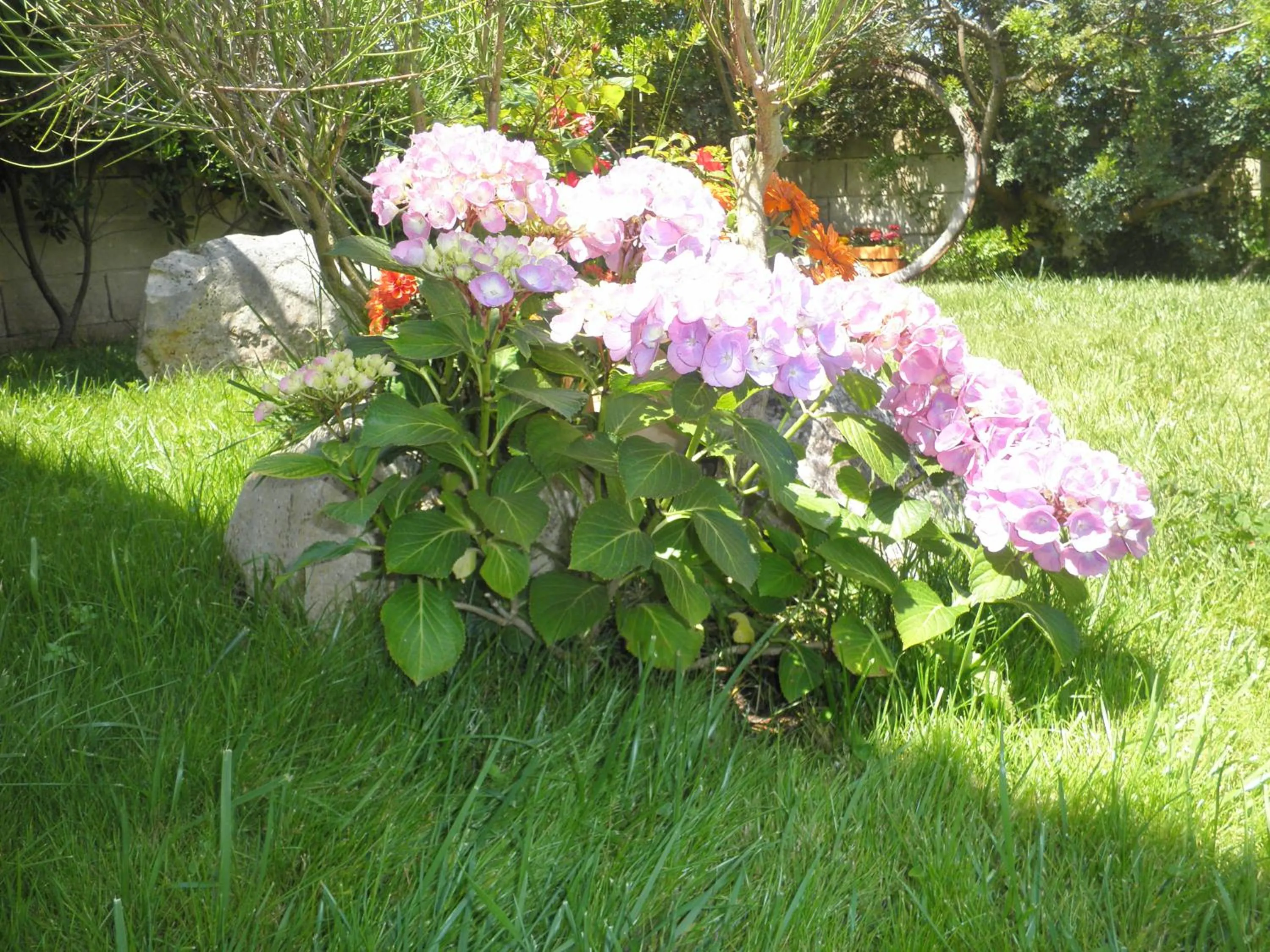 Decorative detail in La Suite nel Bosco