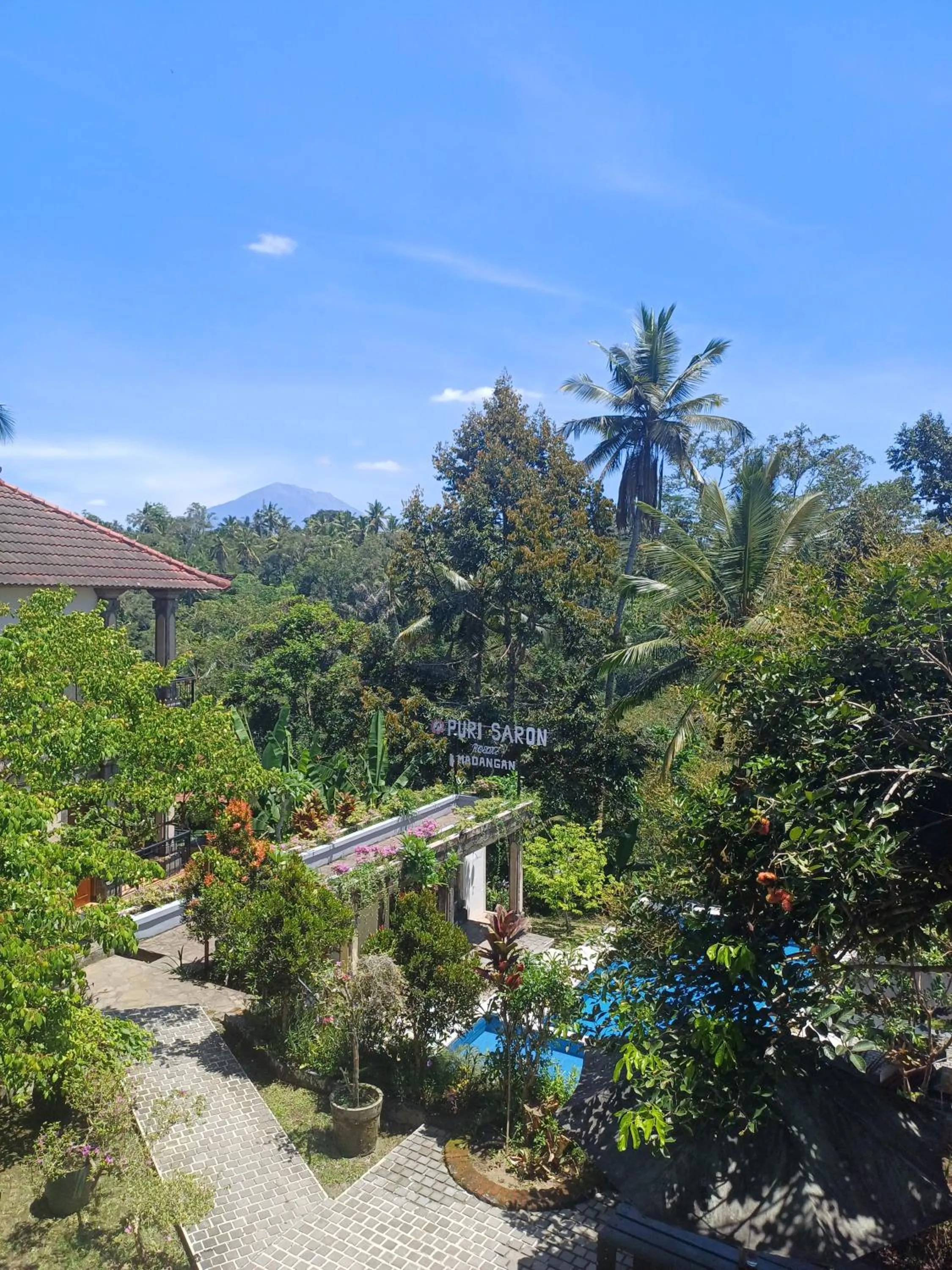 Natural landscape in Puri Saron Hotel Madangan - Gianyar