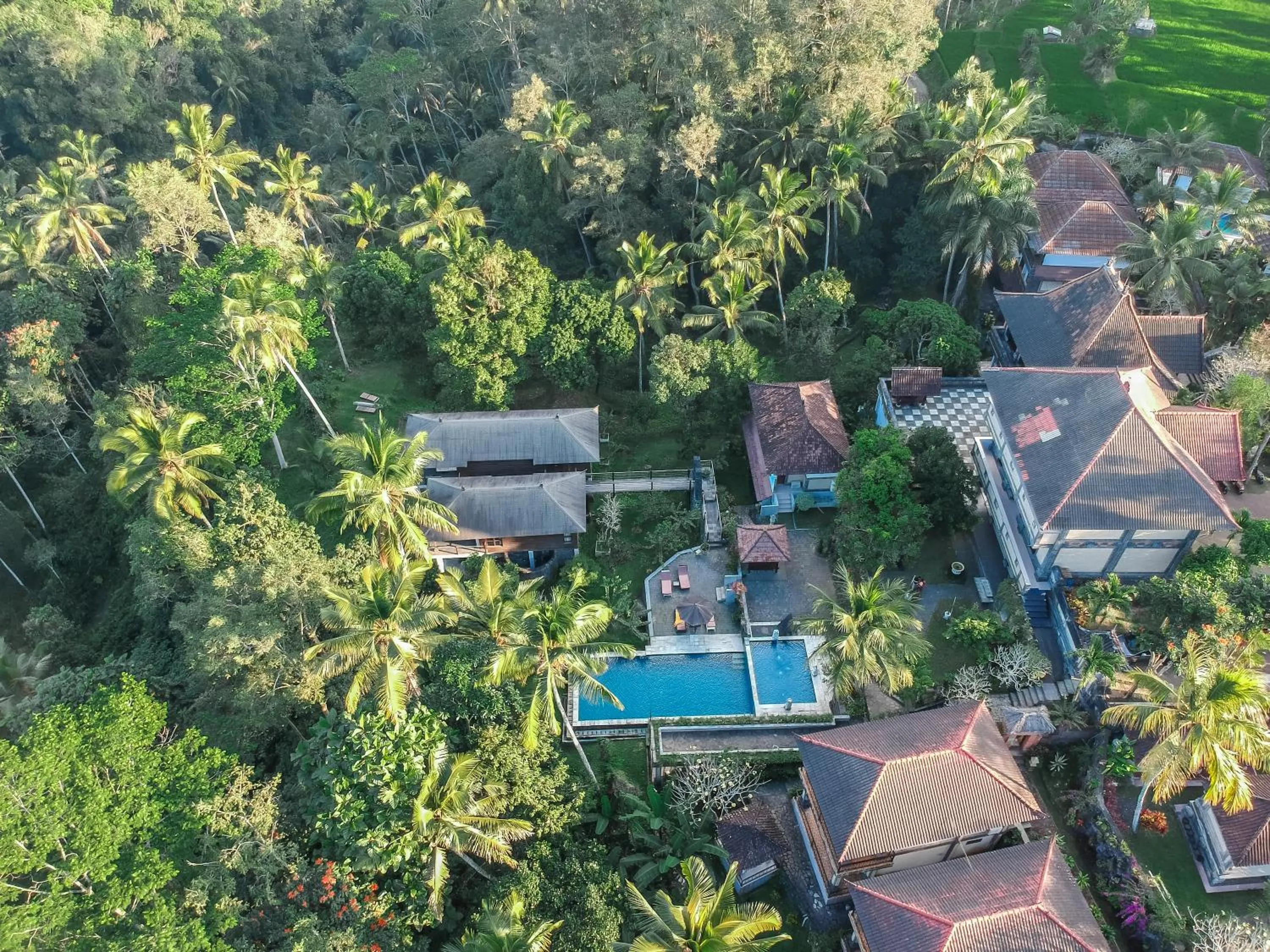 Bird's eye view in Puri Saron Hotel Madangan - Gianyar