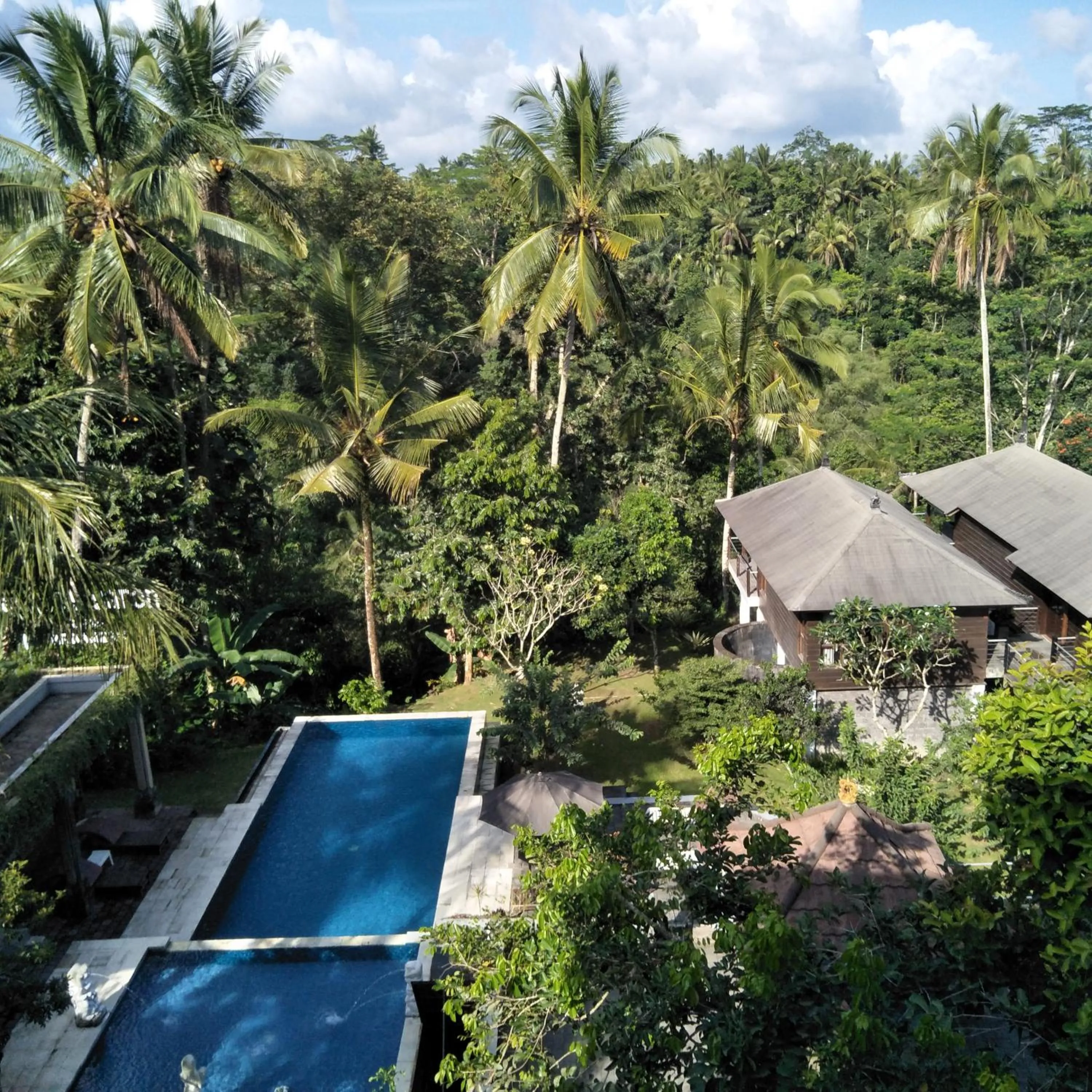 Swimming pool in Puri Saron Hotel Madangan - Gianyar