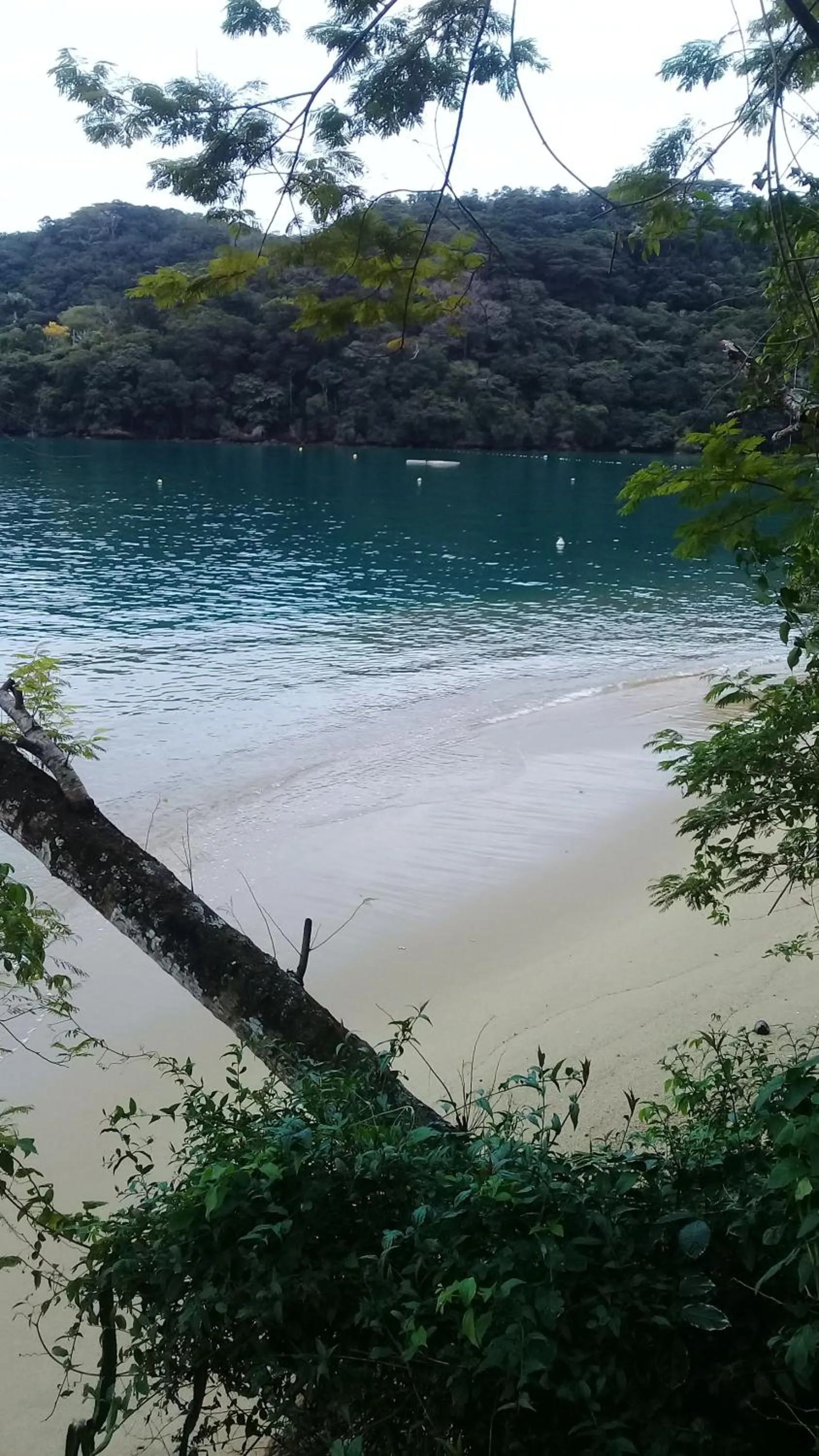 Sea view in Praia Comprida Flats