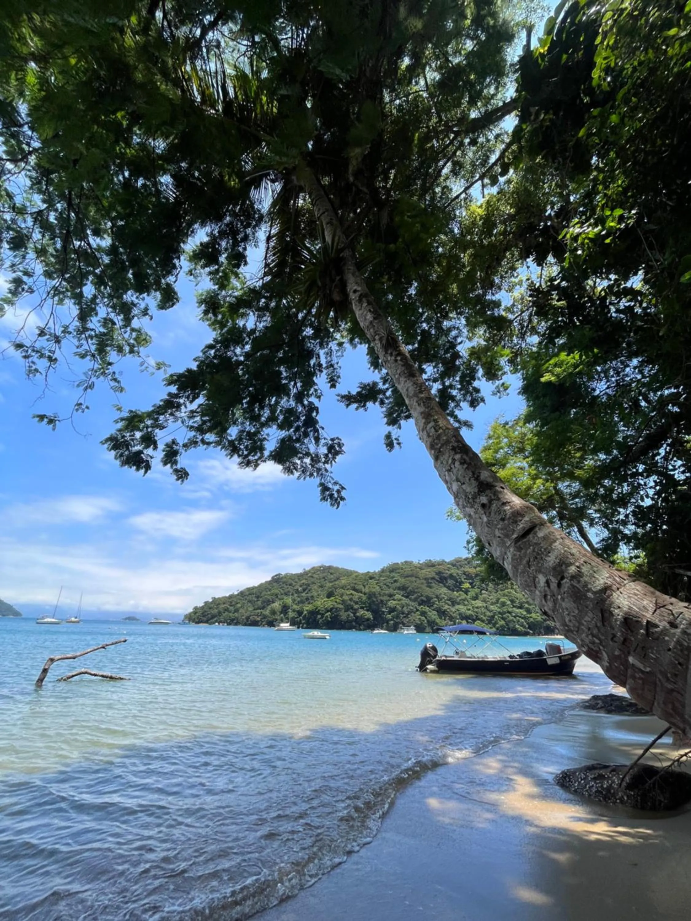 Praia Comprida Flats
