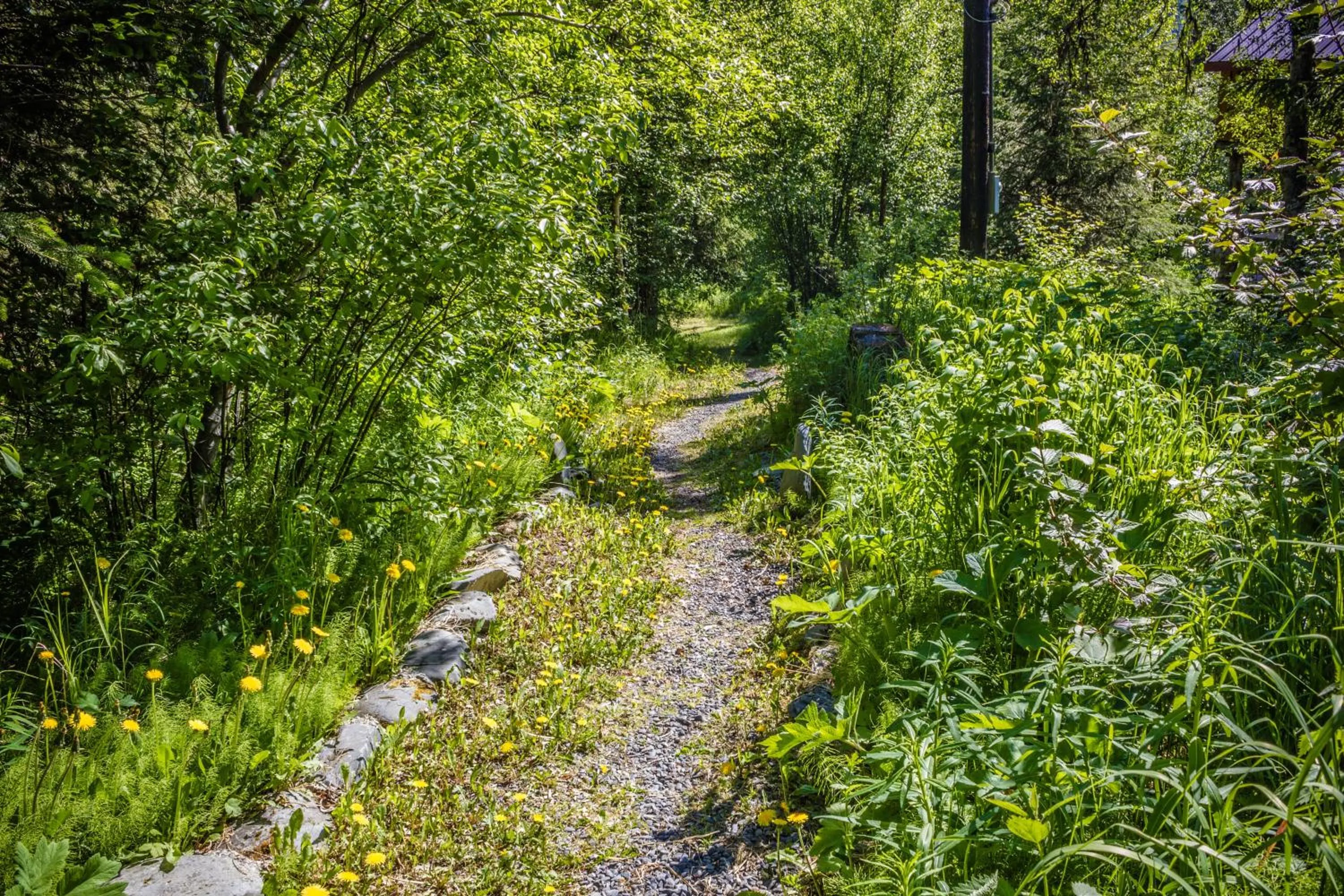 Area and facilities in Midnight Sun Log Cabins