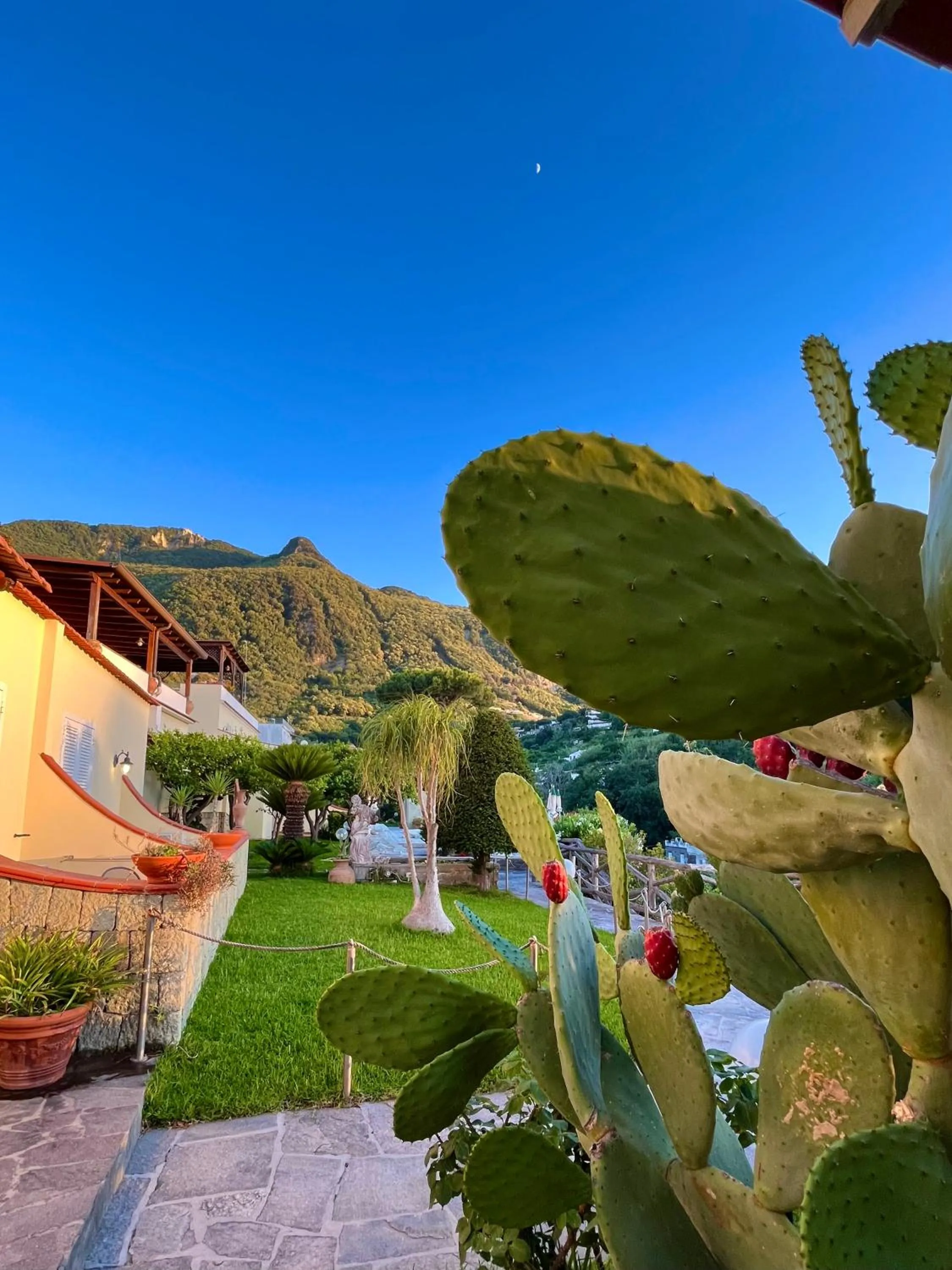 Garden in Resort Villa Flavio