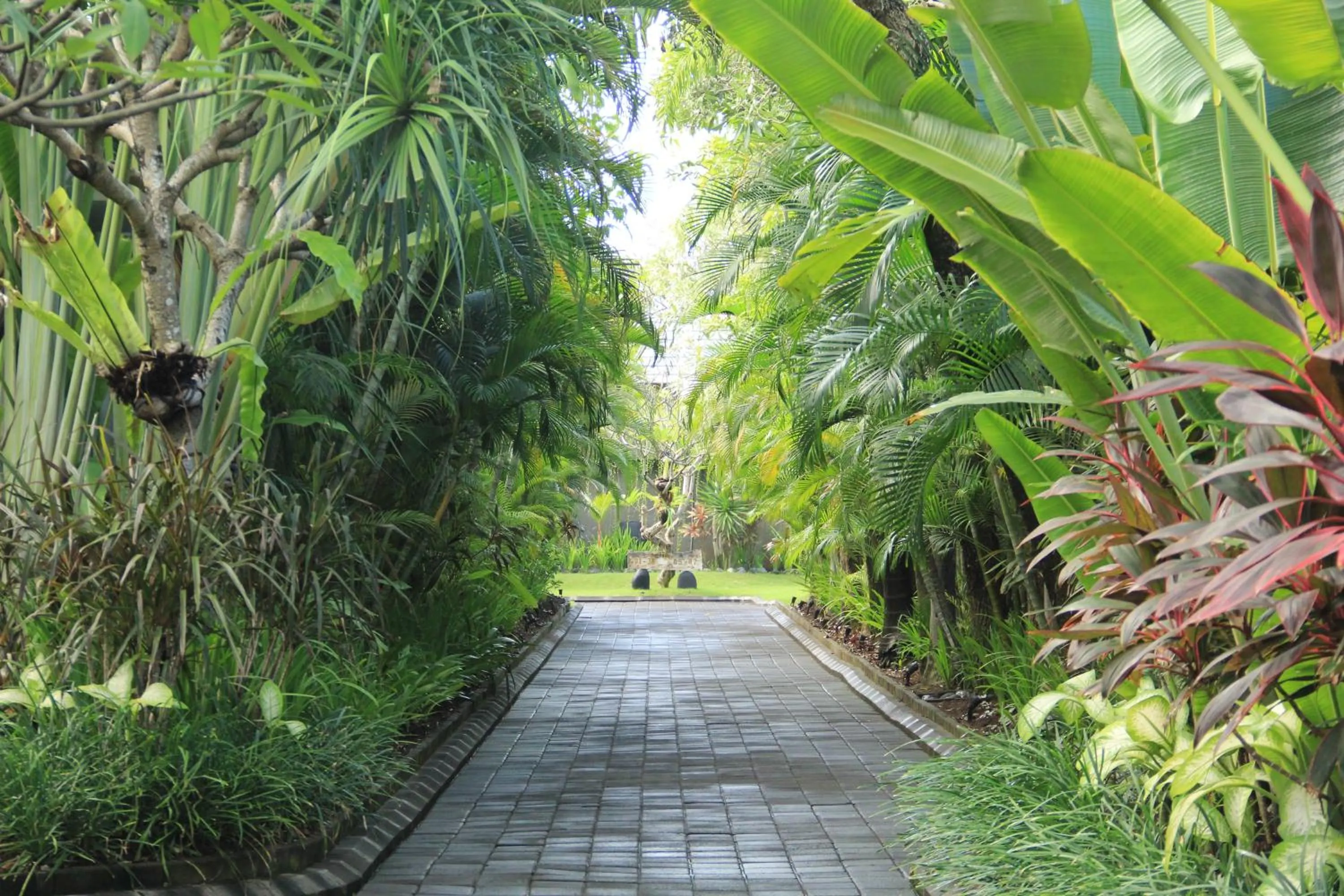 Natural landscape in The Wolas Villas