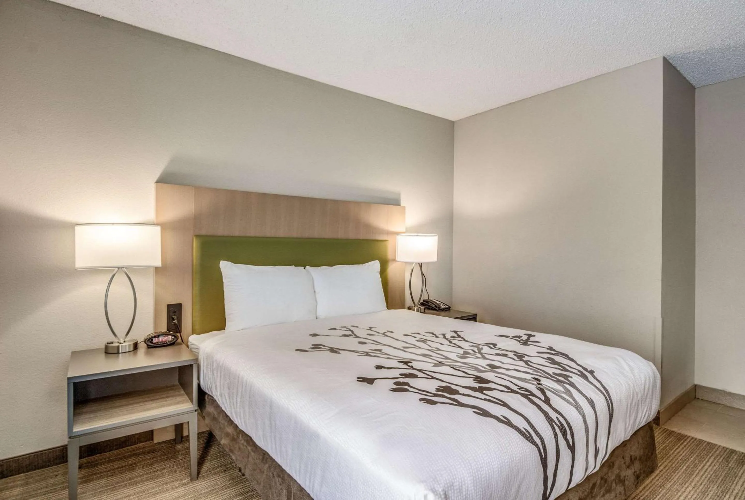 Photo of the whole room, Bed in Sleep Inn Fort Mill near Carowinds Blvd