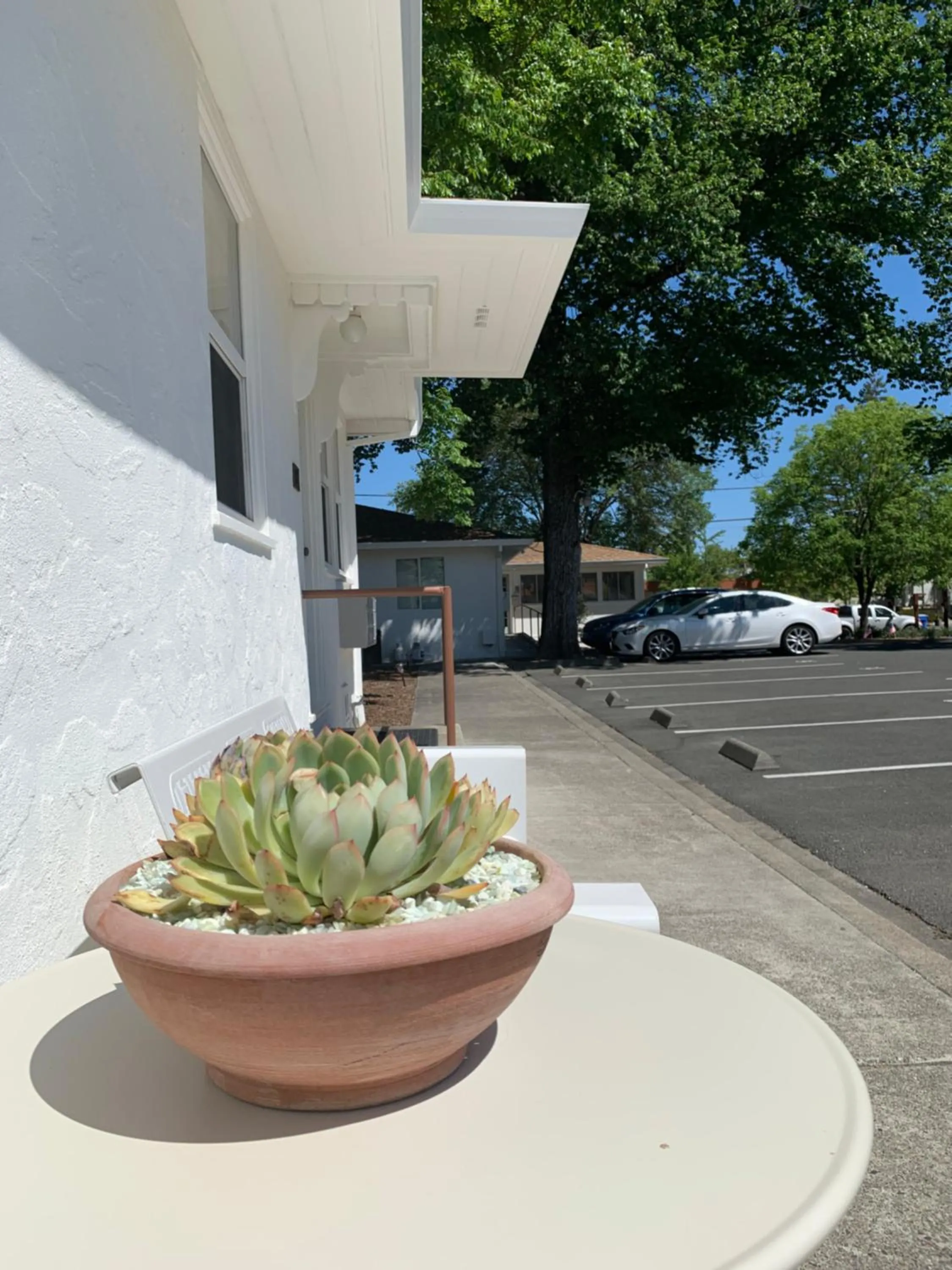 Carlin's Cottage Court