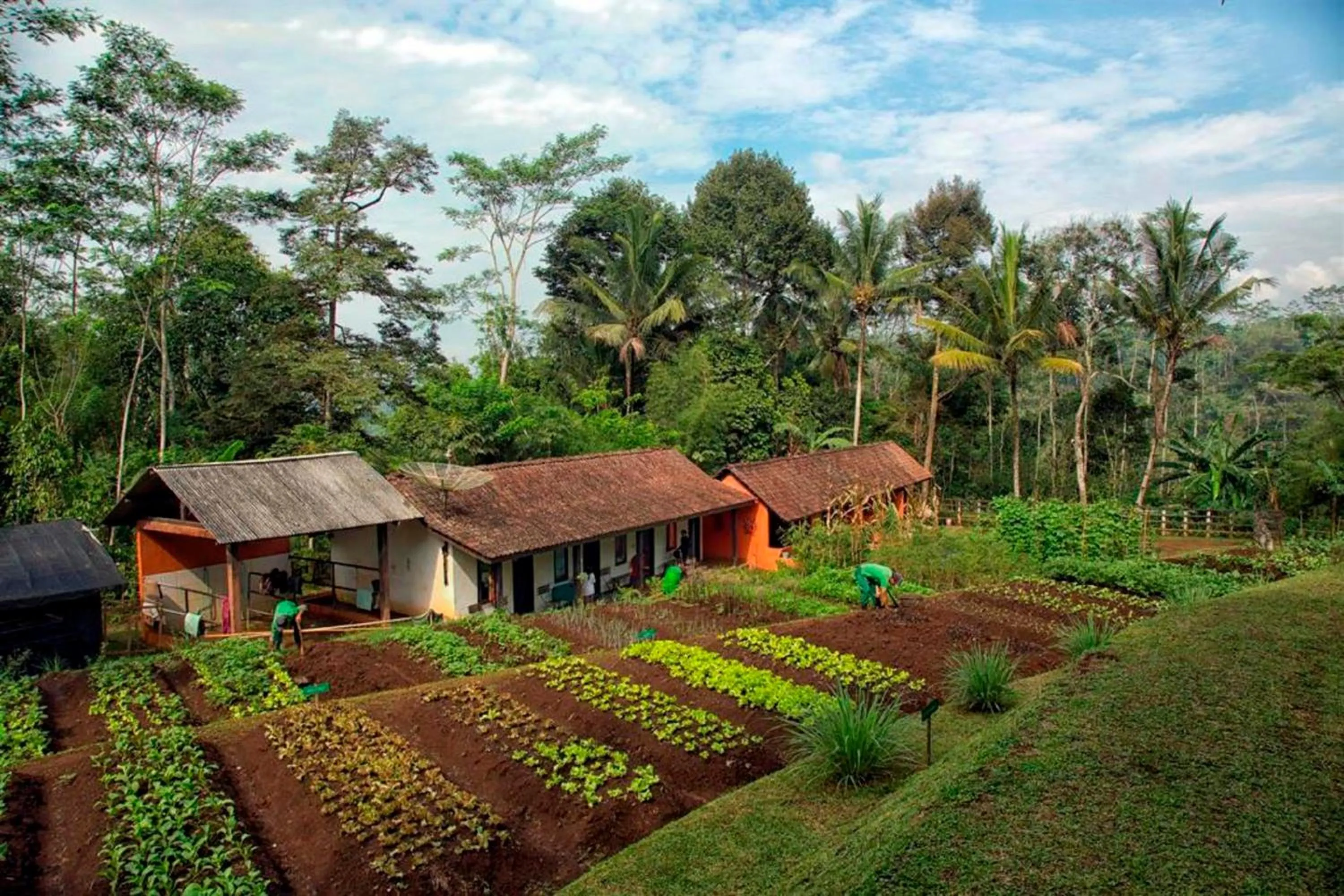 Garden in MesaStila Resort and Spa