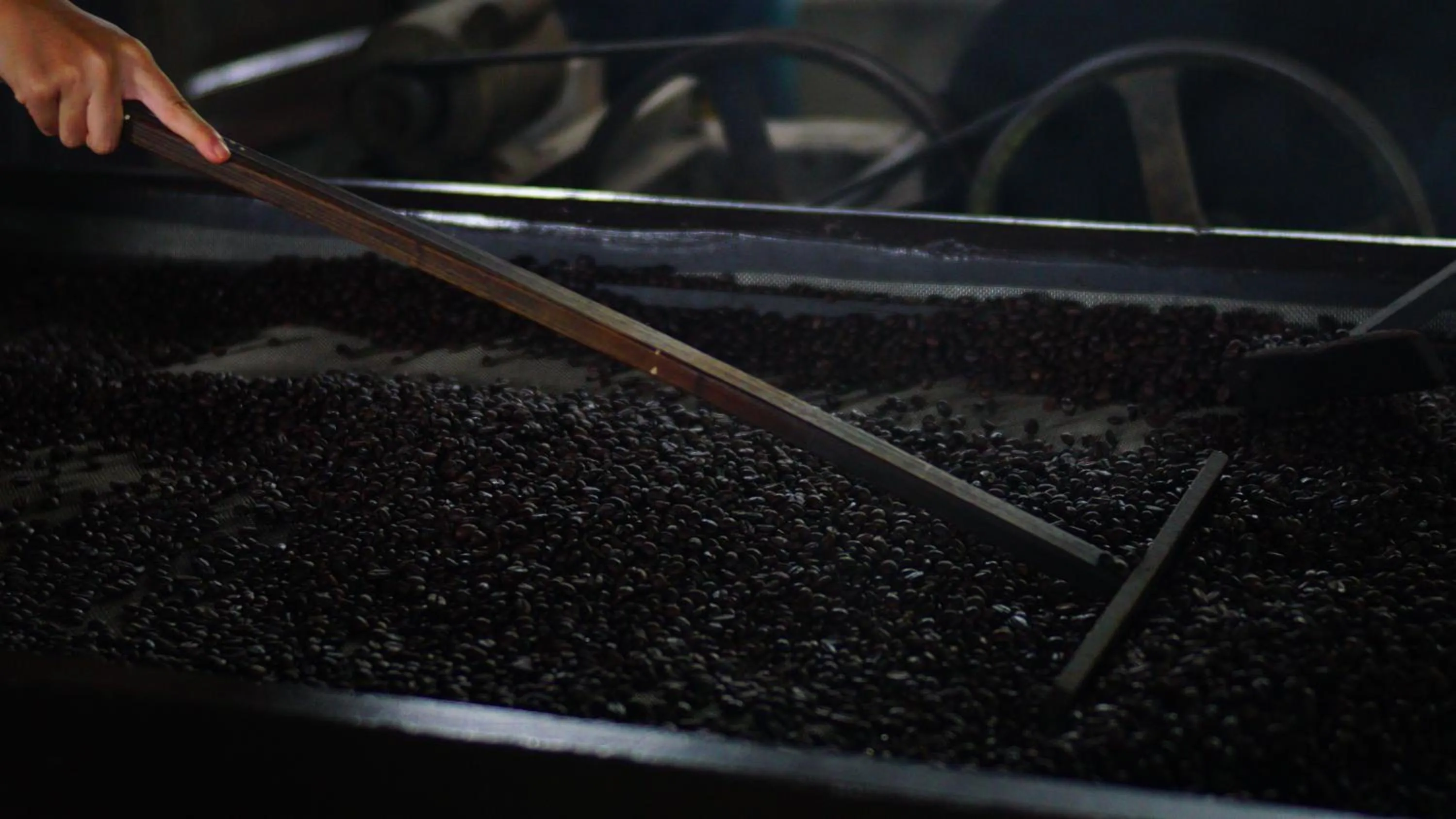 Activities in MesaStila Resort and Spa