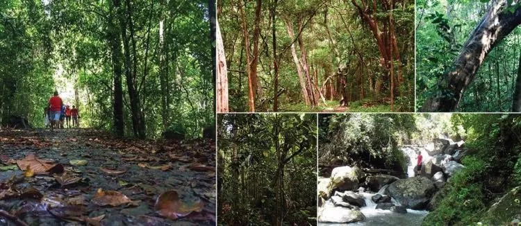 Hareesha Holiday Resort