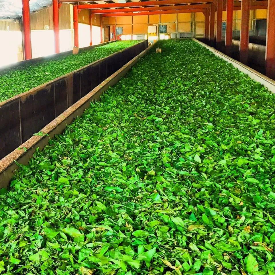 Hareesha Holiday Resort