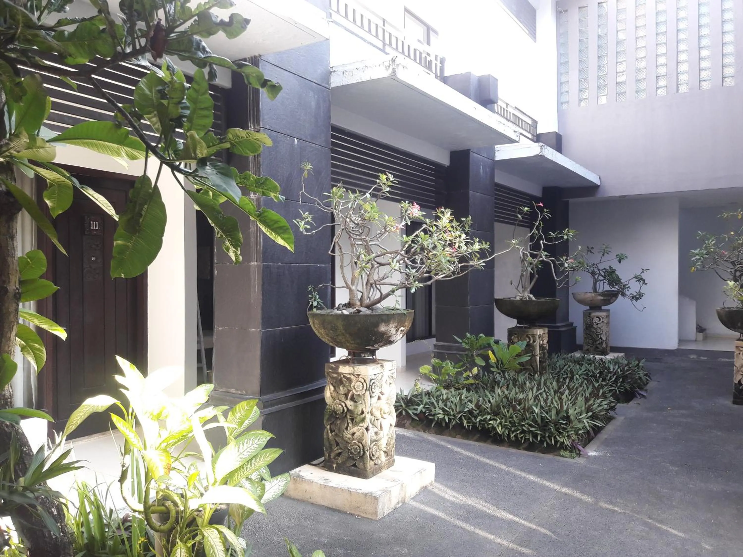 Garden in The Radiant Hotel