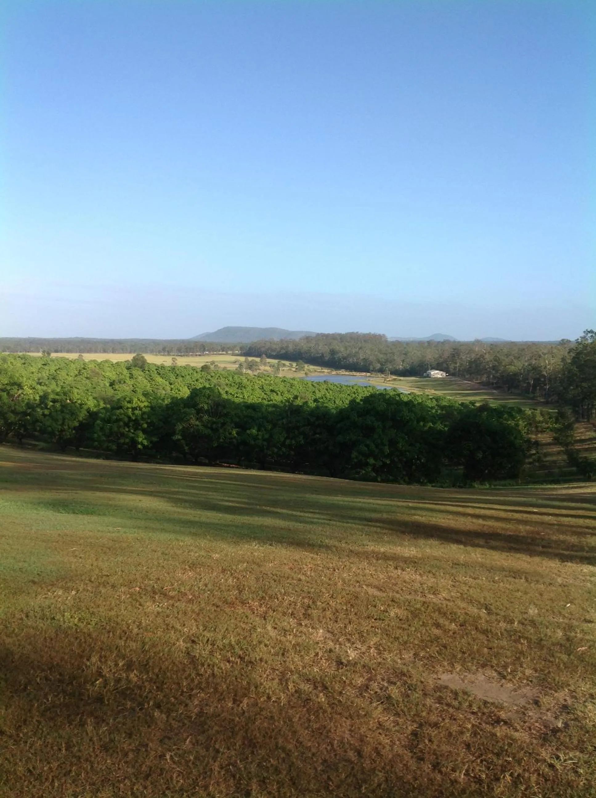 Natural landscape in Lake Barra Cottages
