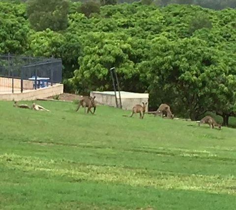 Property building in Lake Barra Cottages