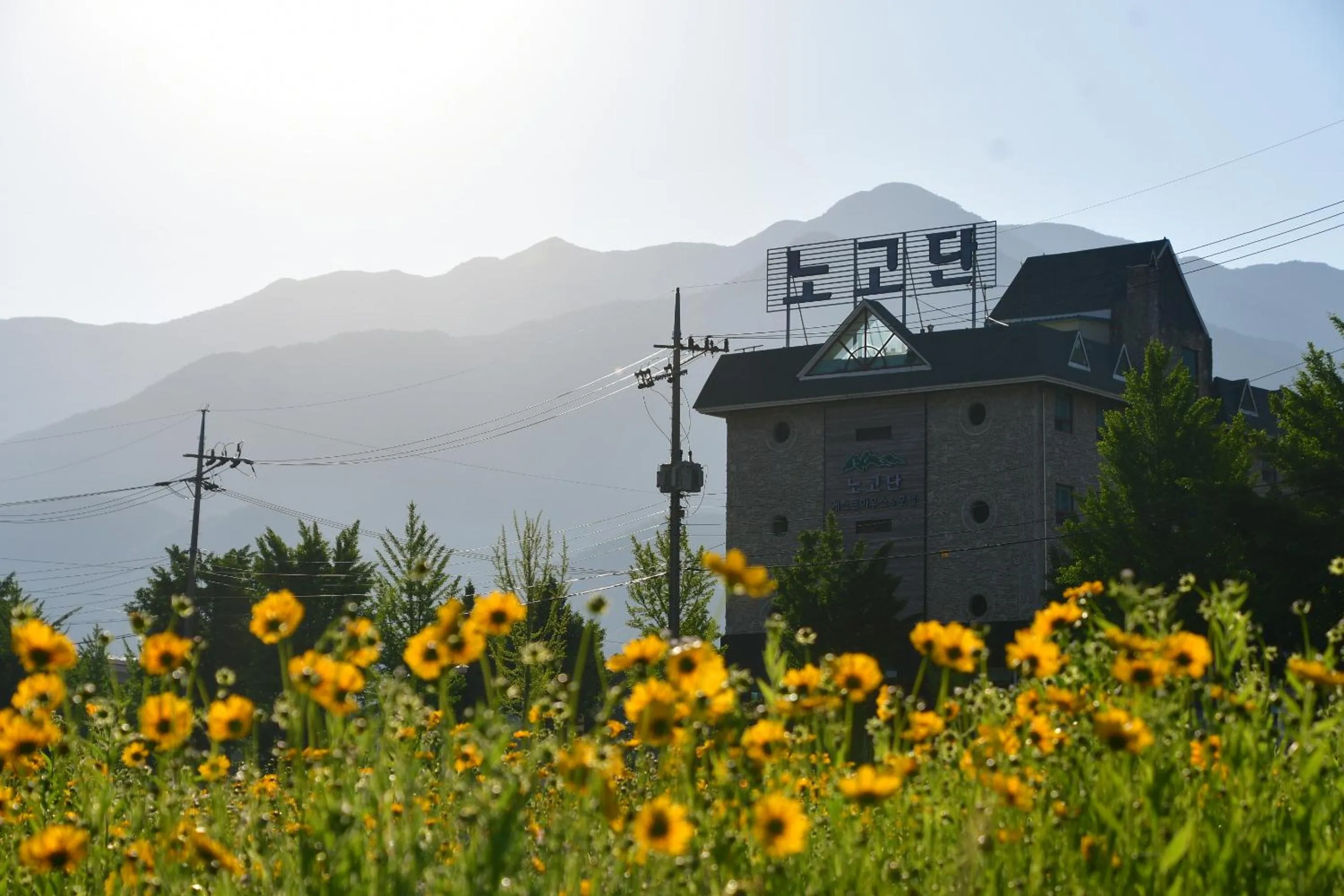 Property building in Nogodan Guesthouse and Hotel