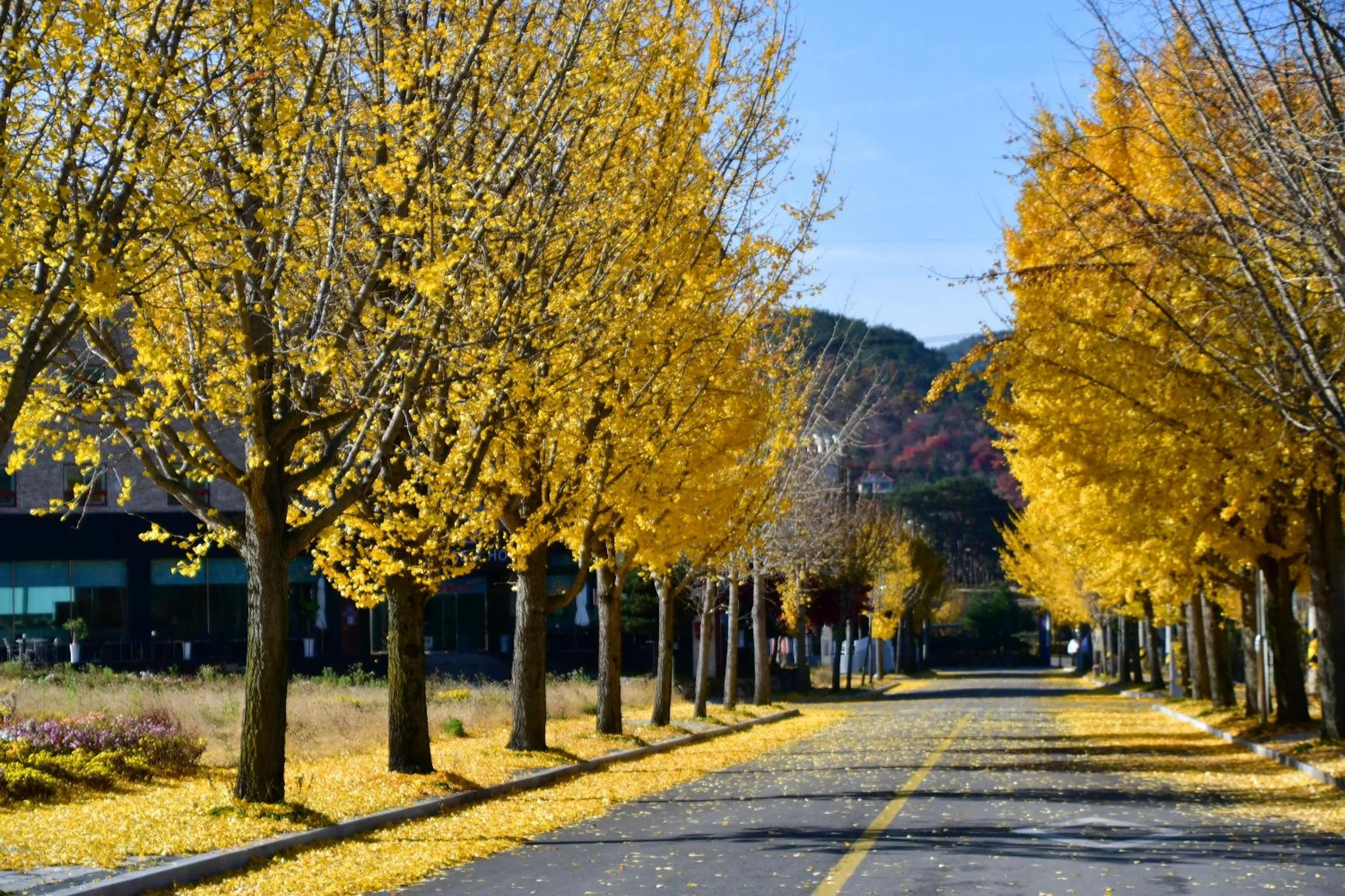 Off site in Nogodan Guesthouse and Hotel