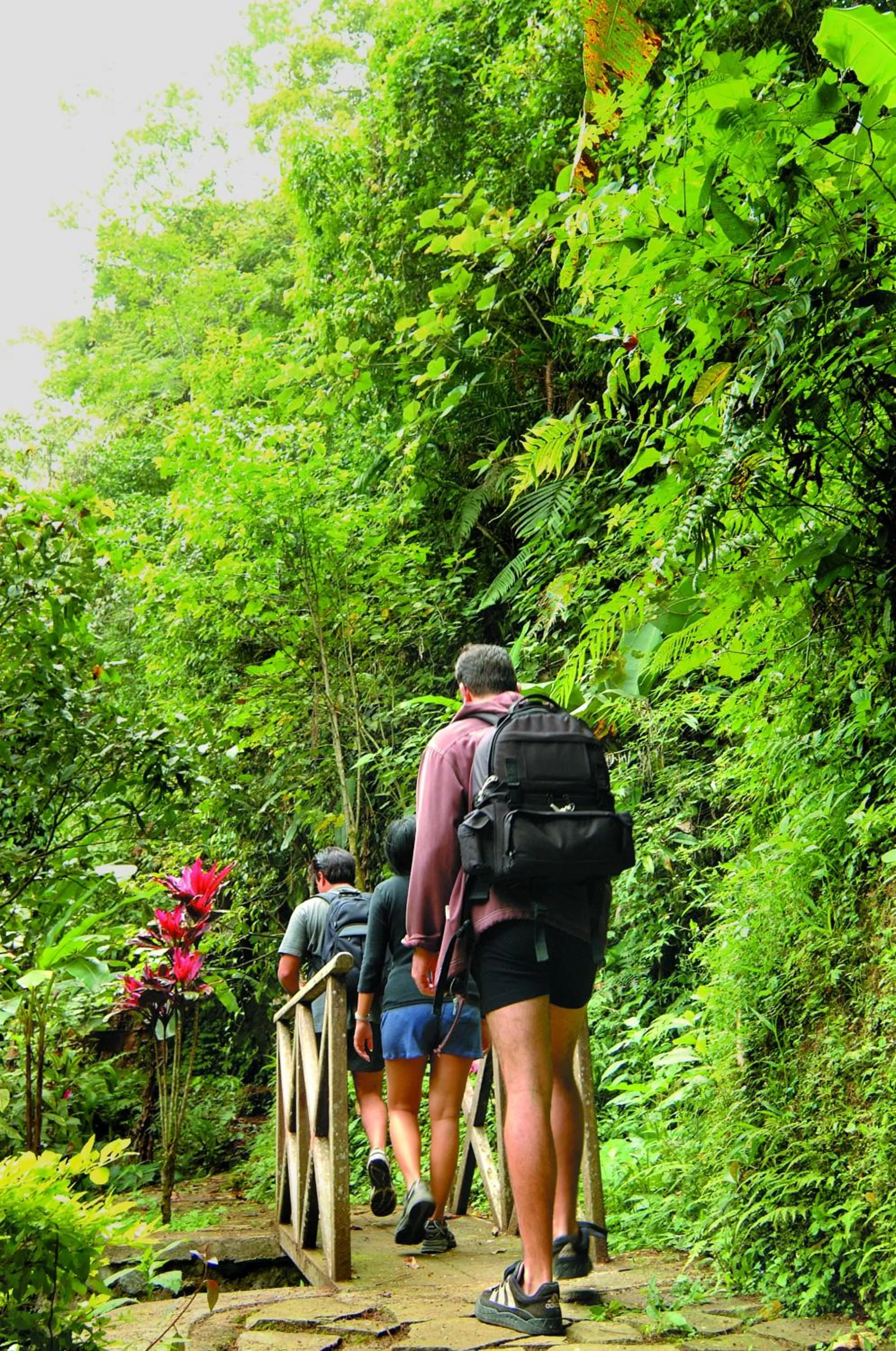 Off site in Bagus Jati Health & Wellbeing Retreat