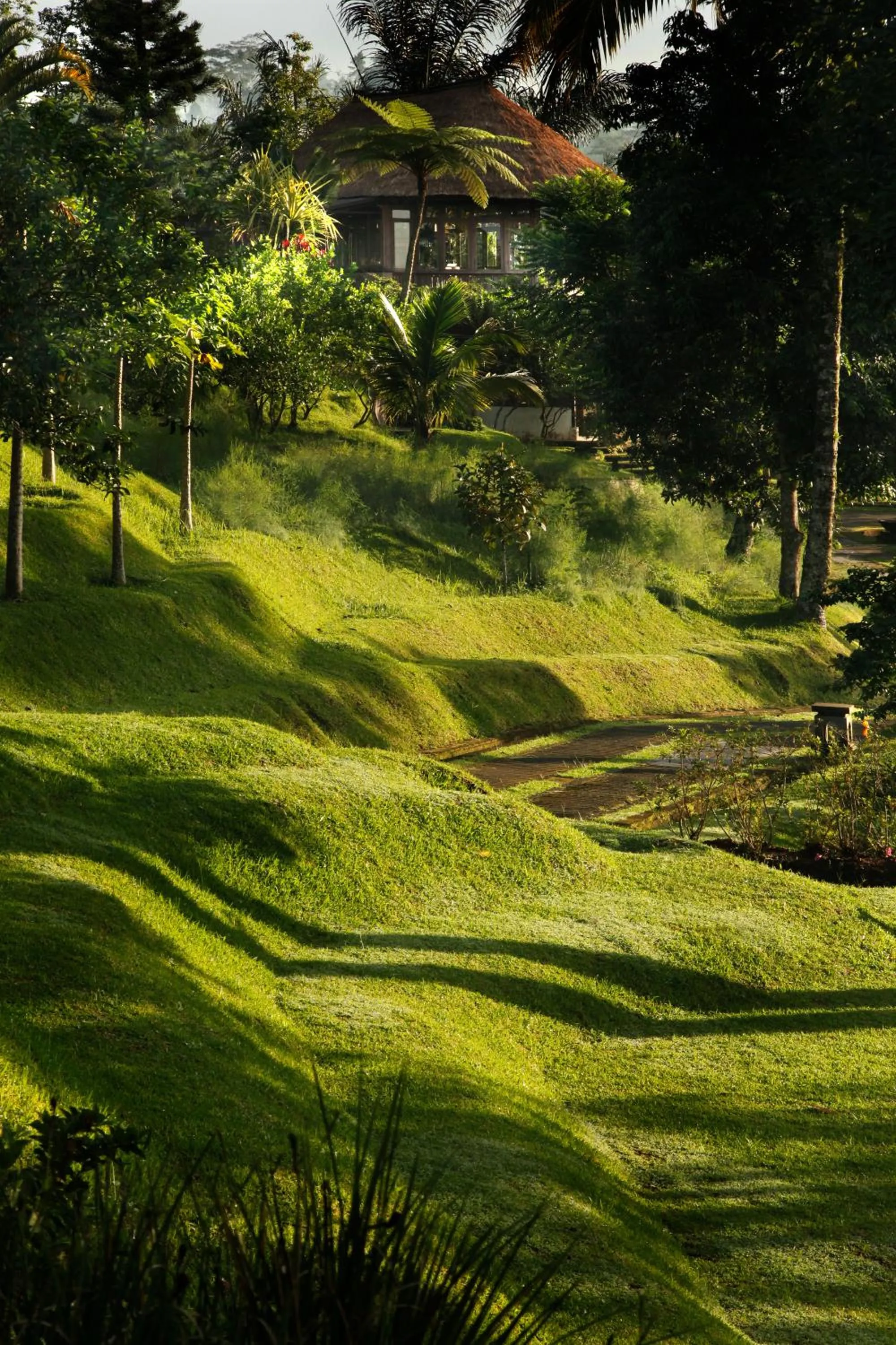 Spring in Bagus Jati Health & Wellbeing Retreat