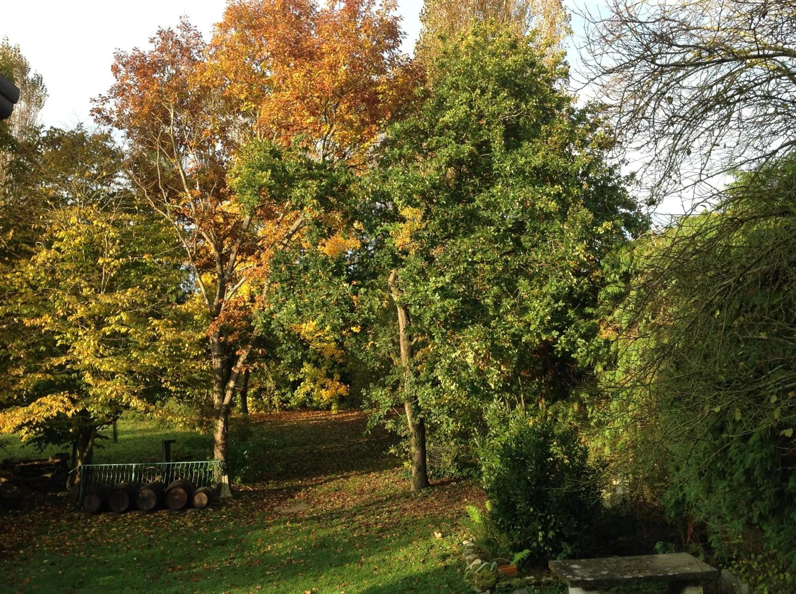 View (from property/room) in La Maison du Verger