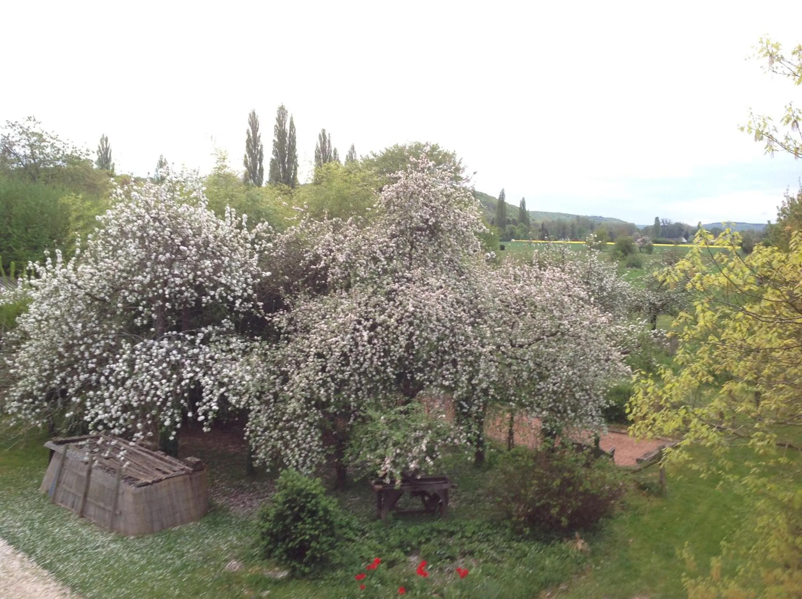 View (from property/room) in La Maison du Verger