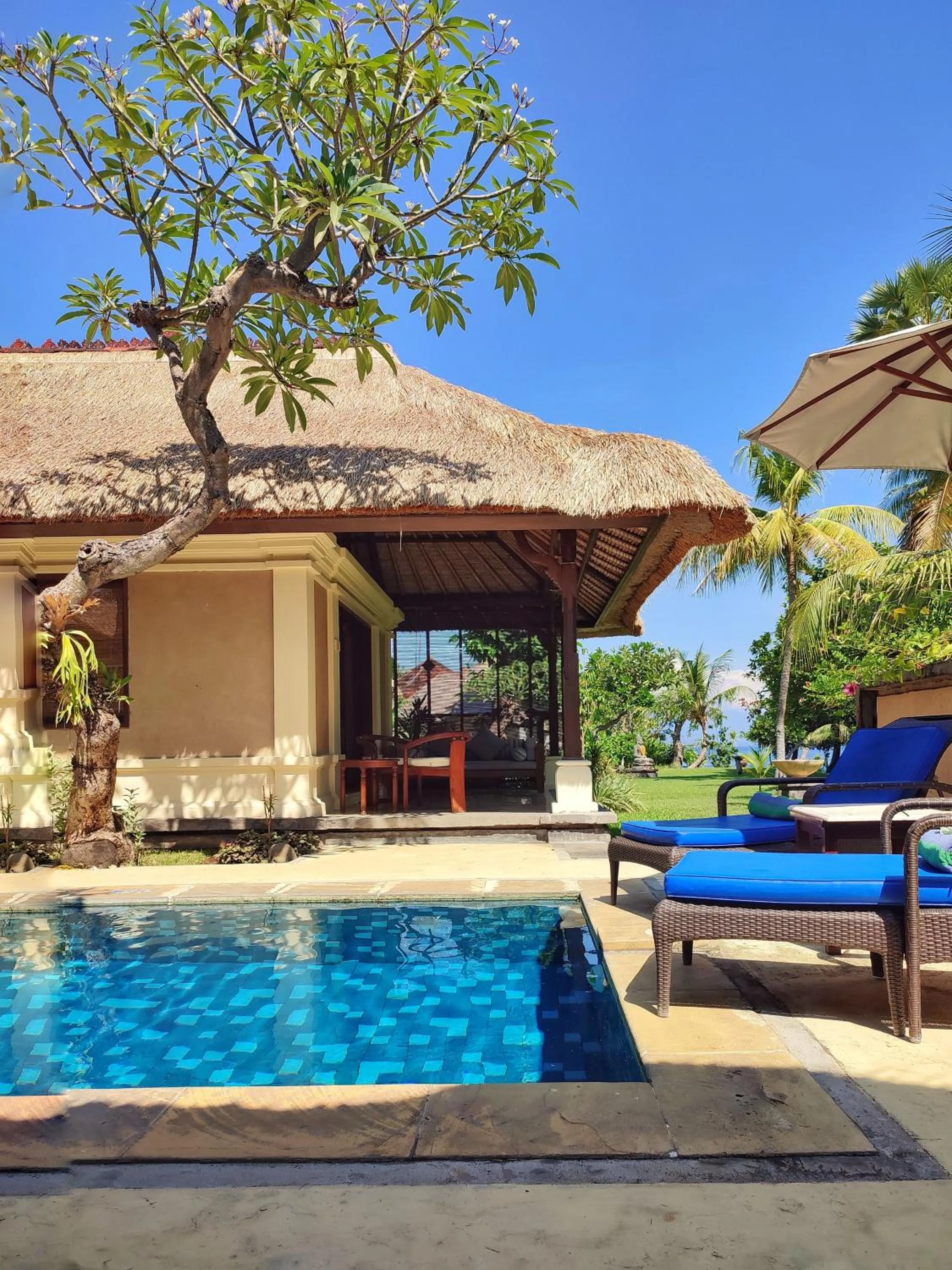 Swimming pool in Puri Bagus Lovina