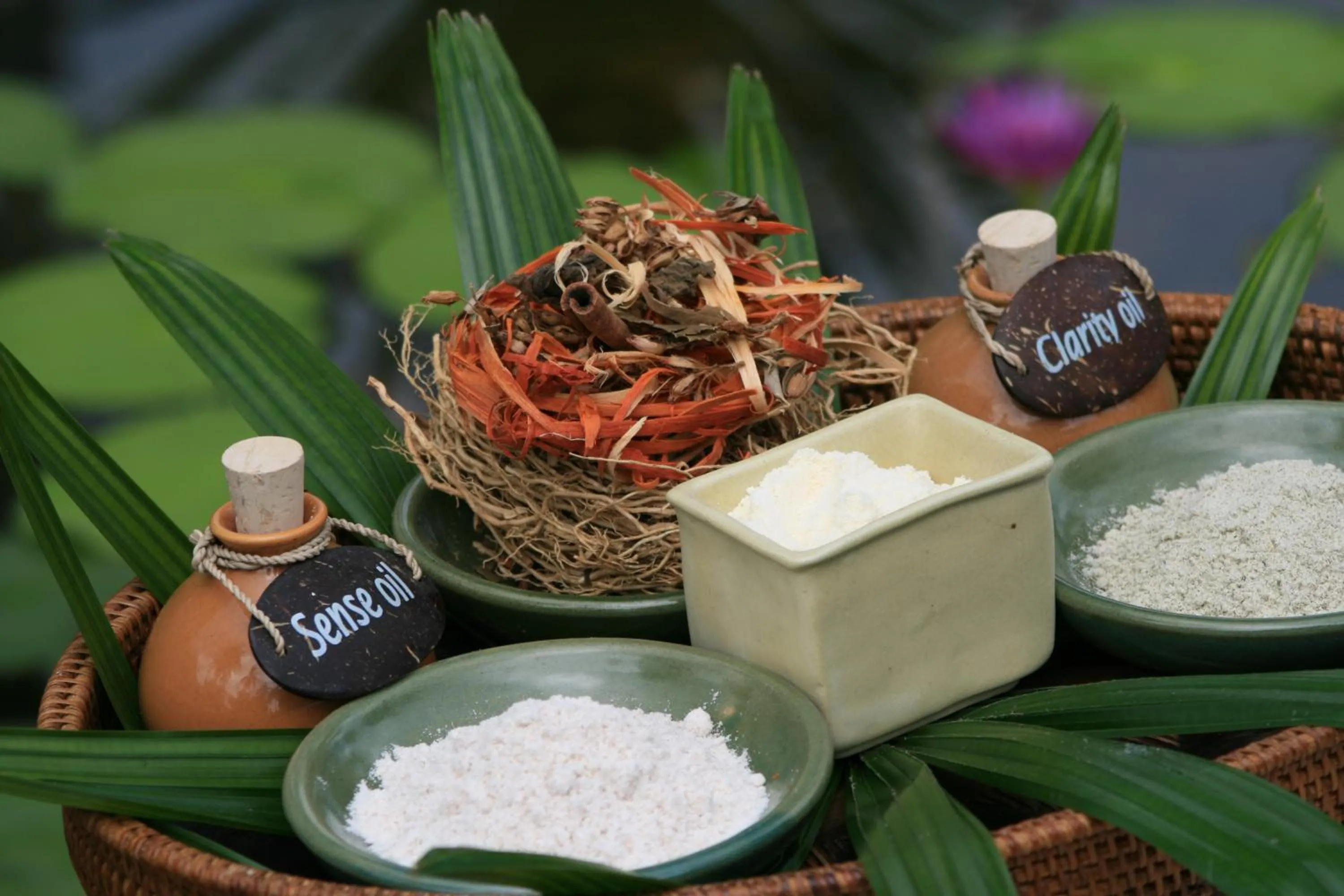 Activities in Puri Bagus Candidasa