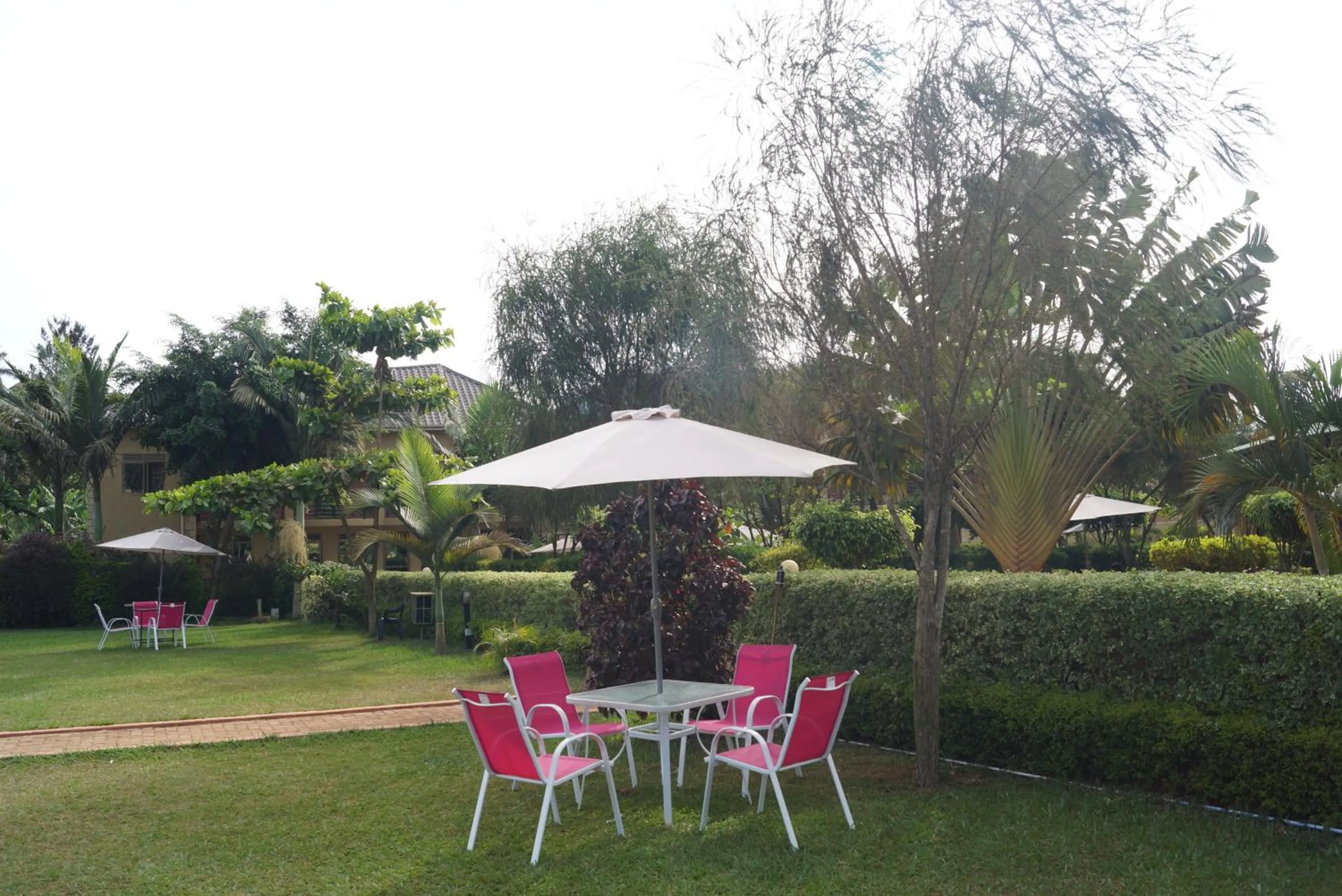 Garden in Biyem Hotel