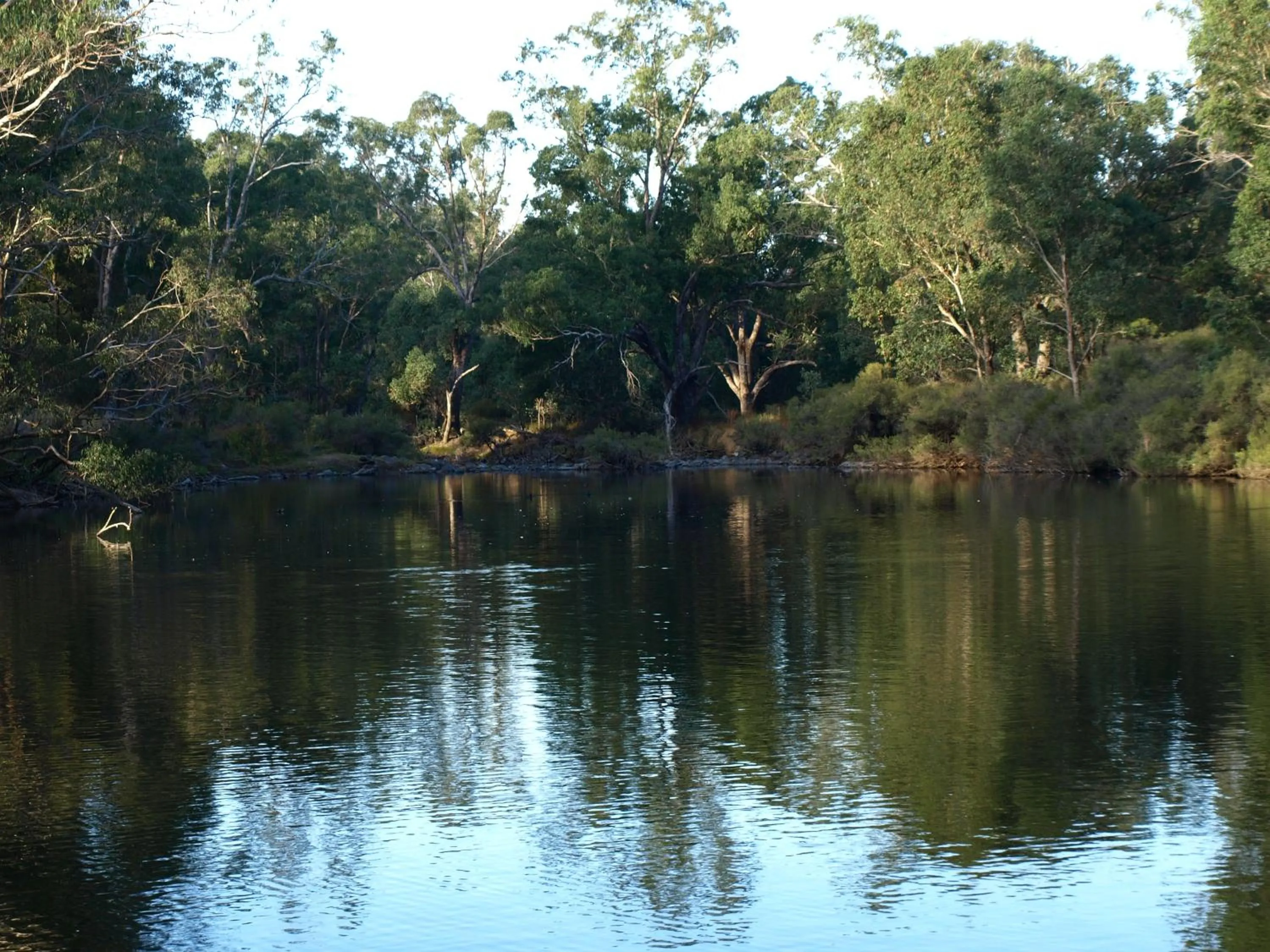 River view in Rickaty on Blackwood