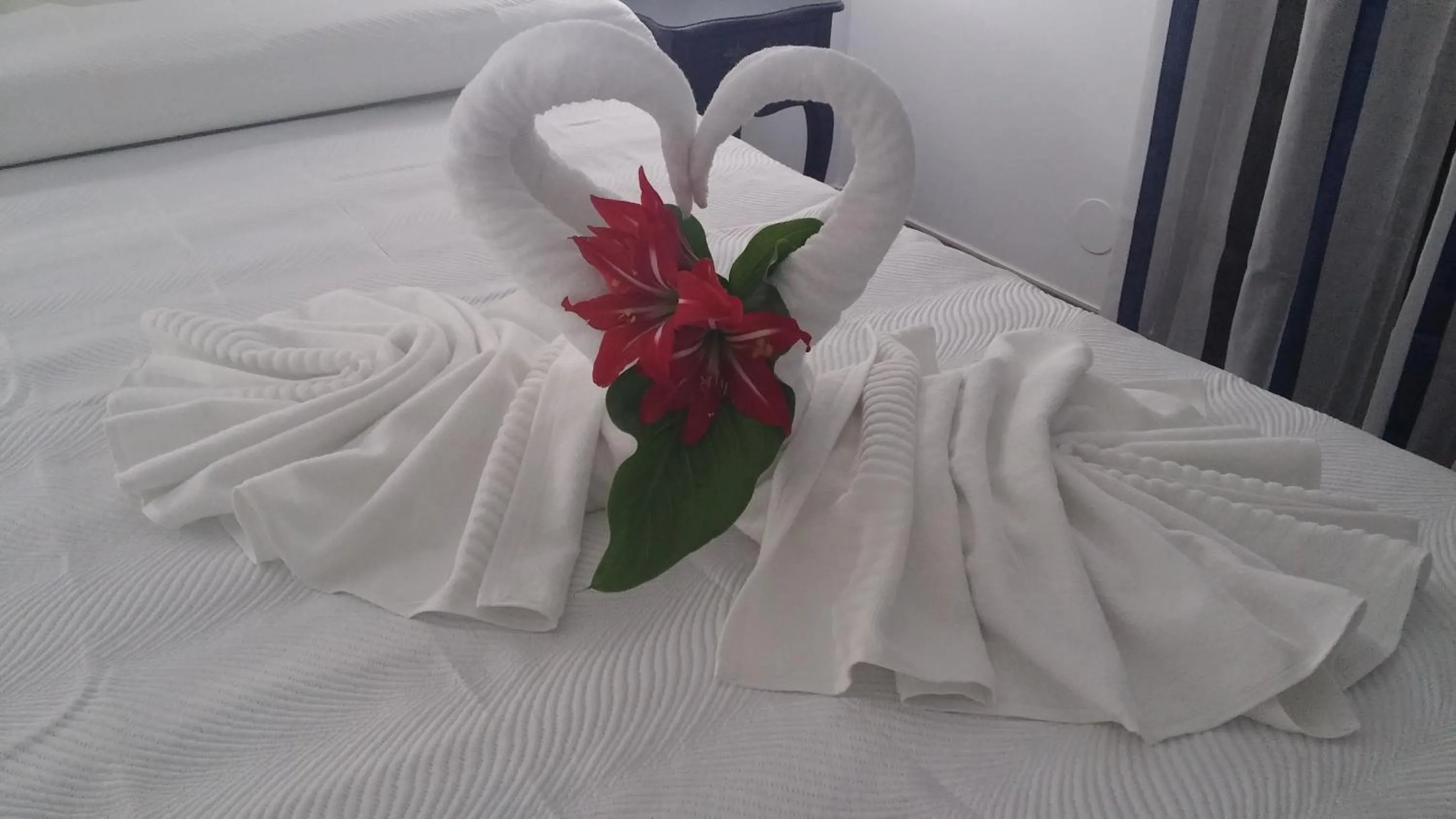 Other in Hostal Boutique Bajamar