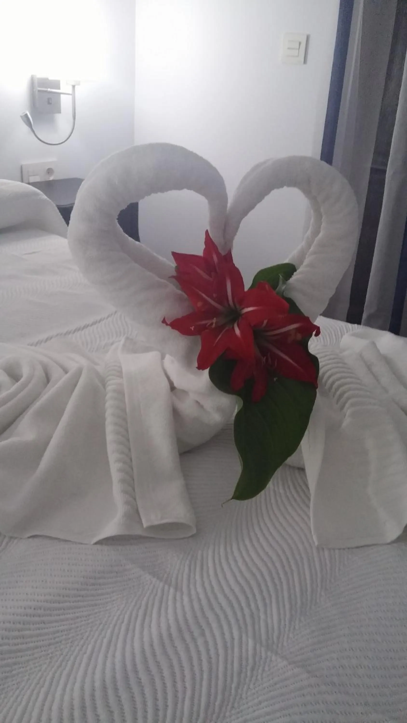 Other, Bed in Hostal Boutique Bajamar