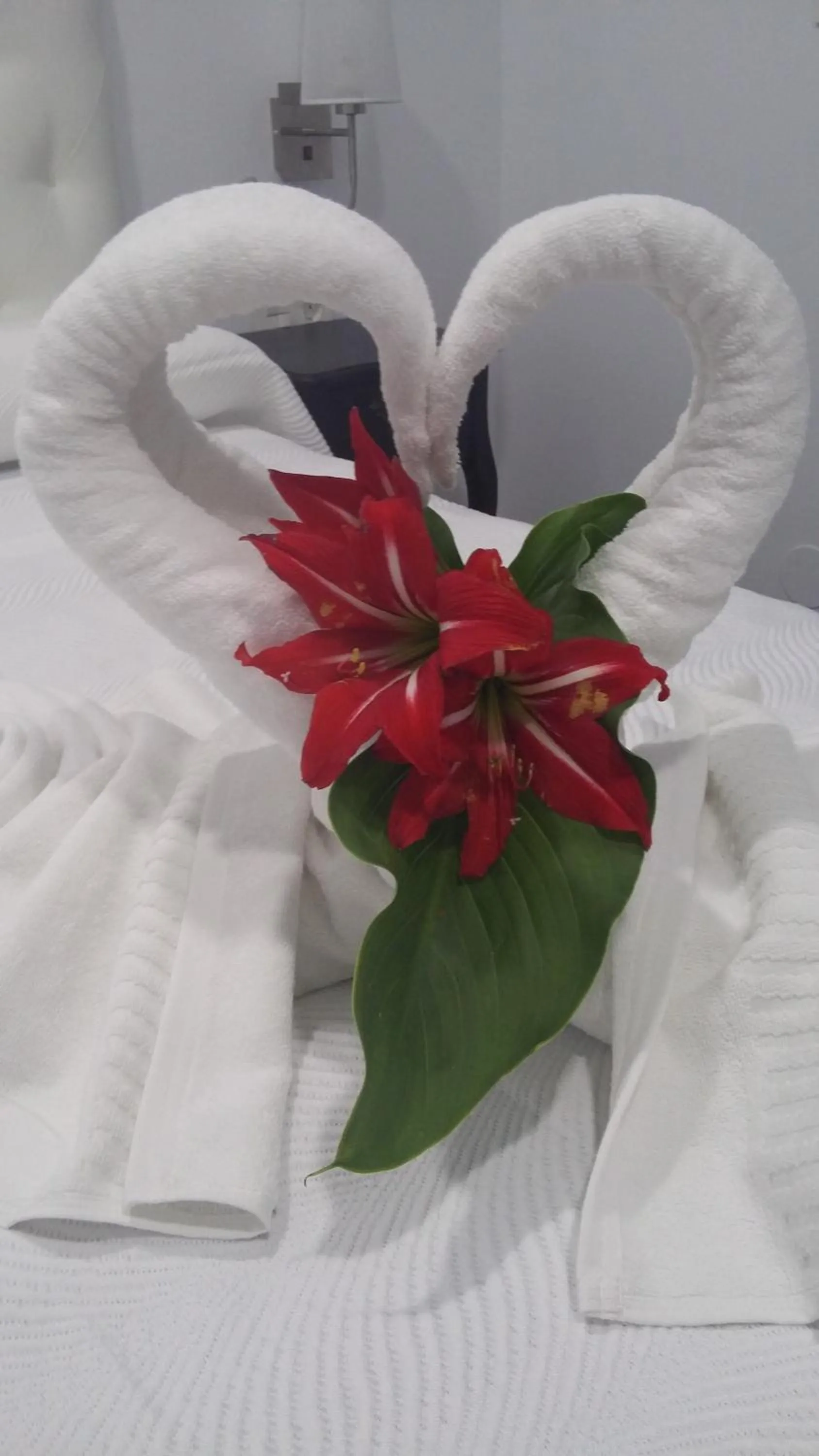 Other in Hostal Boutique Bajamar