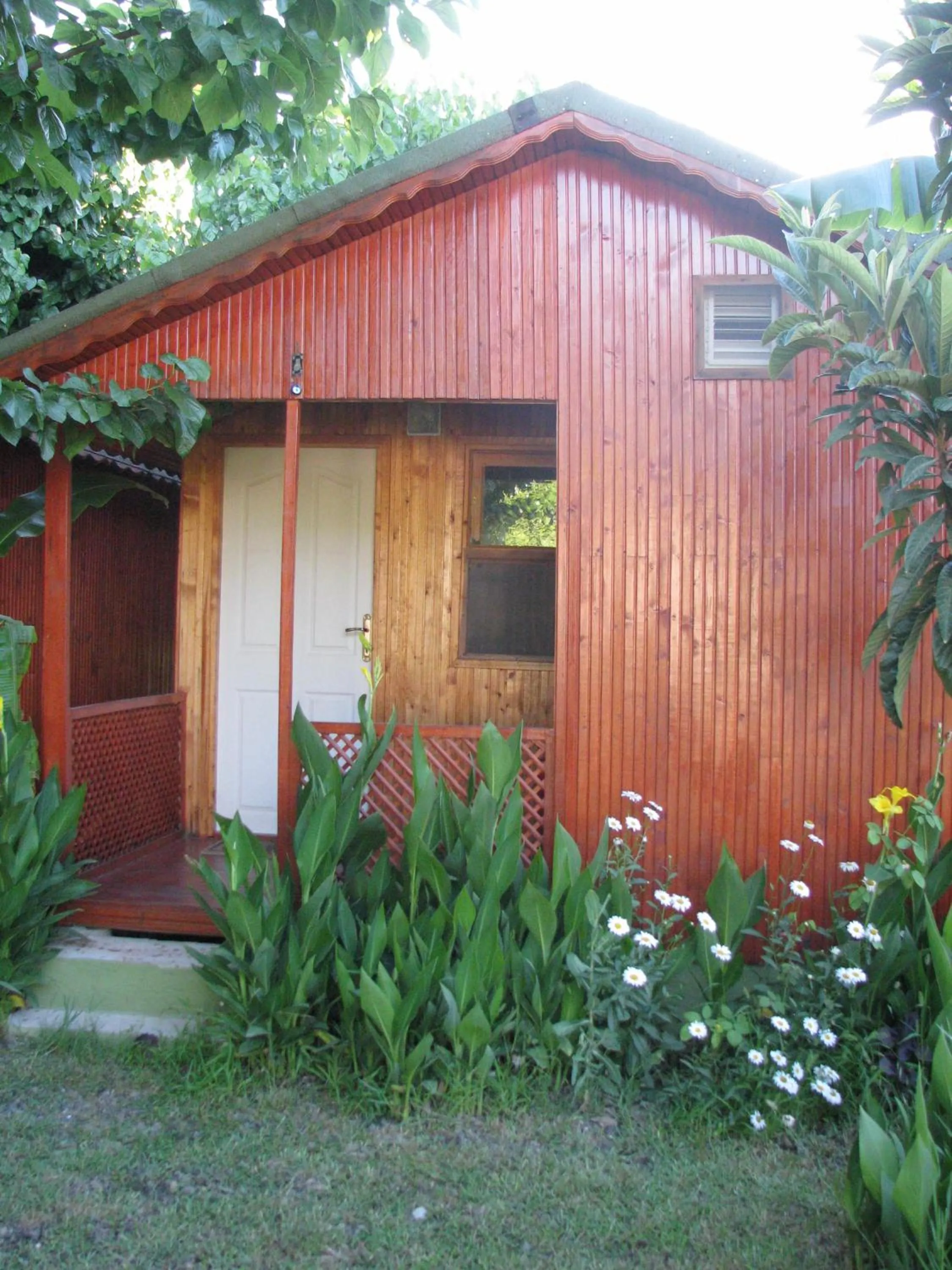 Balcony/Terrace in Alibaba Pension