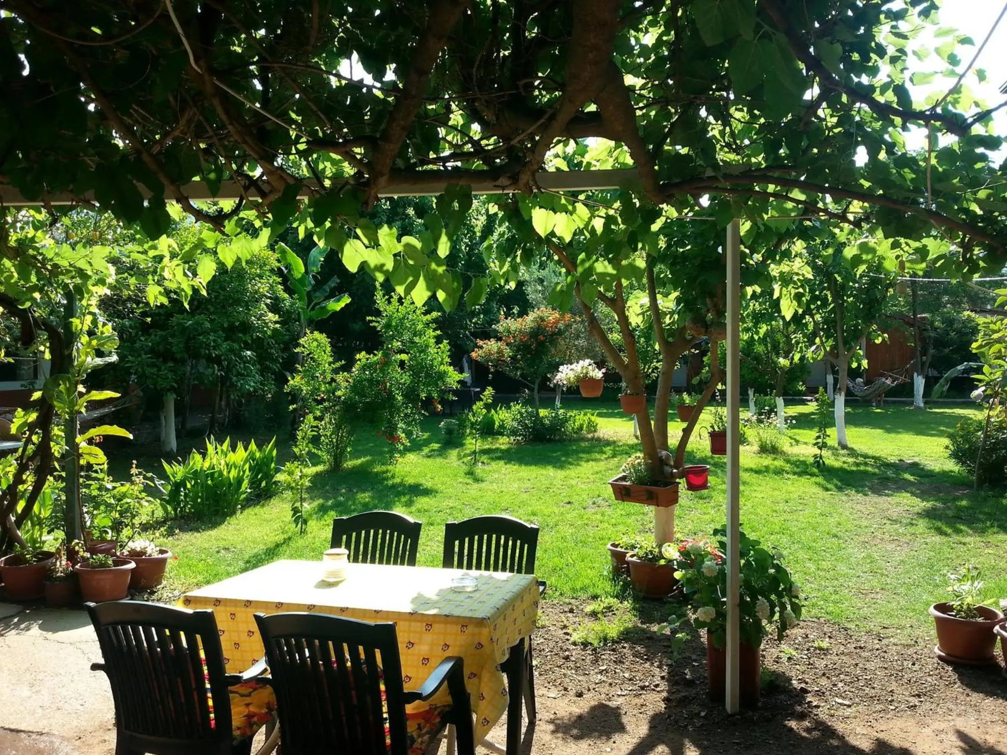 Garden in Alibaba Pension