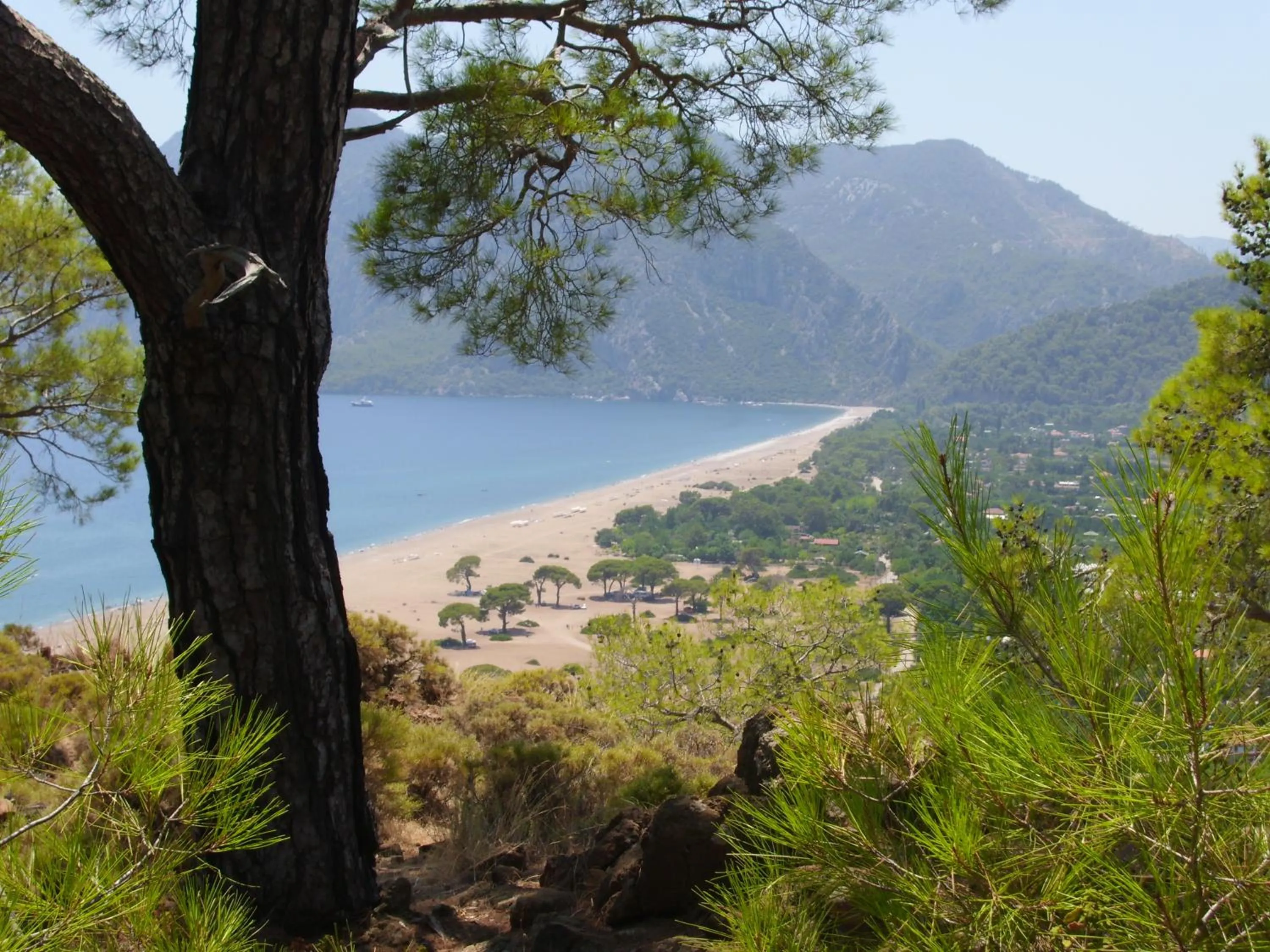 View (from property/room) in Alibaba Pension