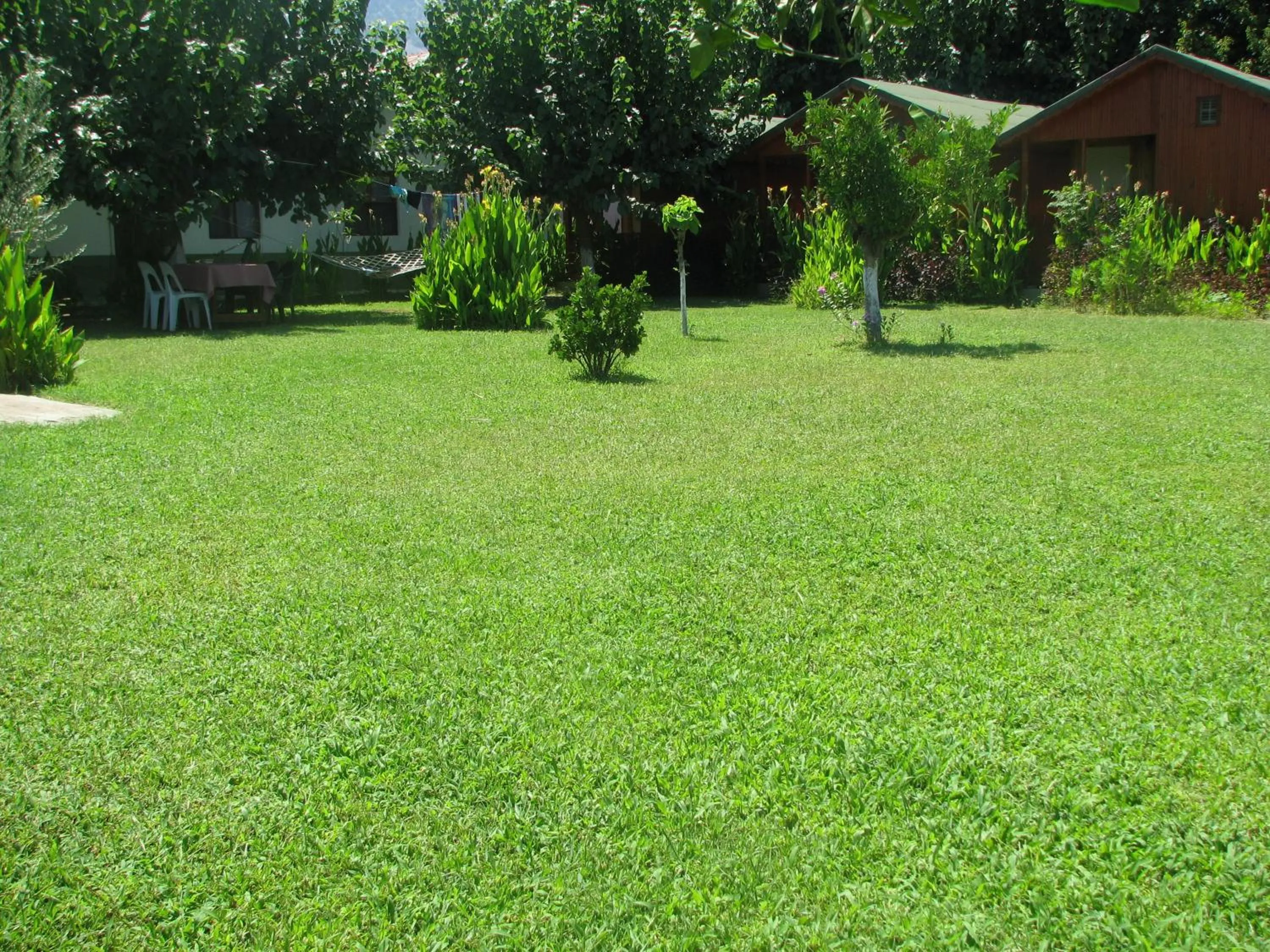 Garden in Alibaba Pension