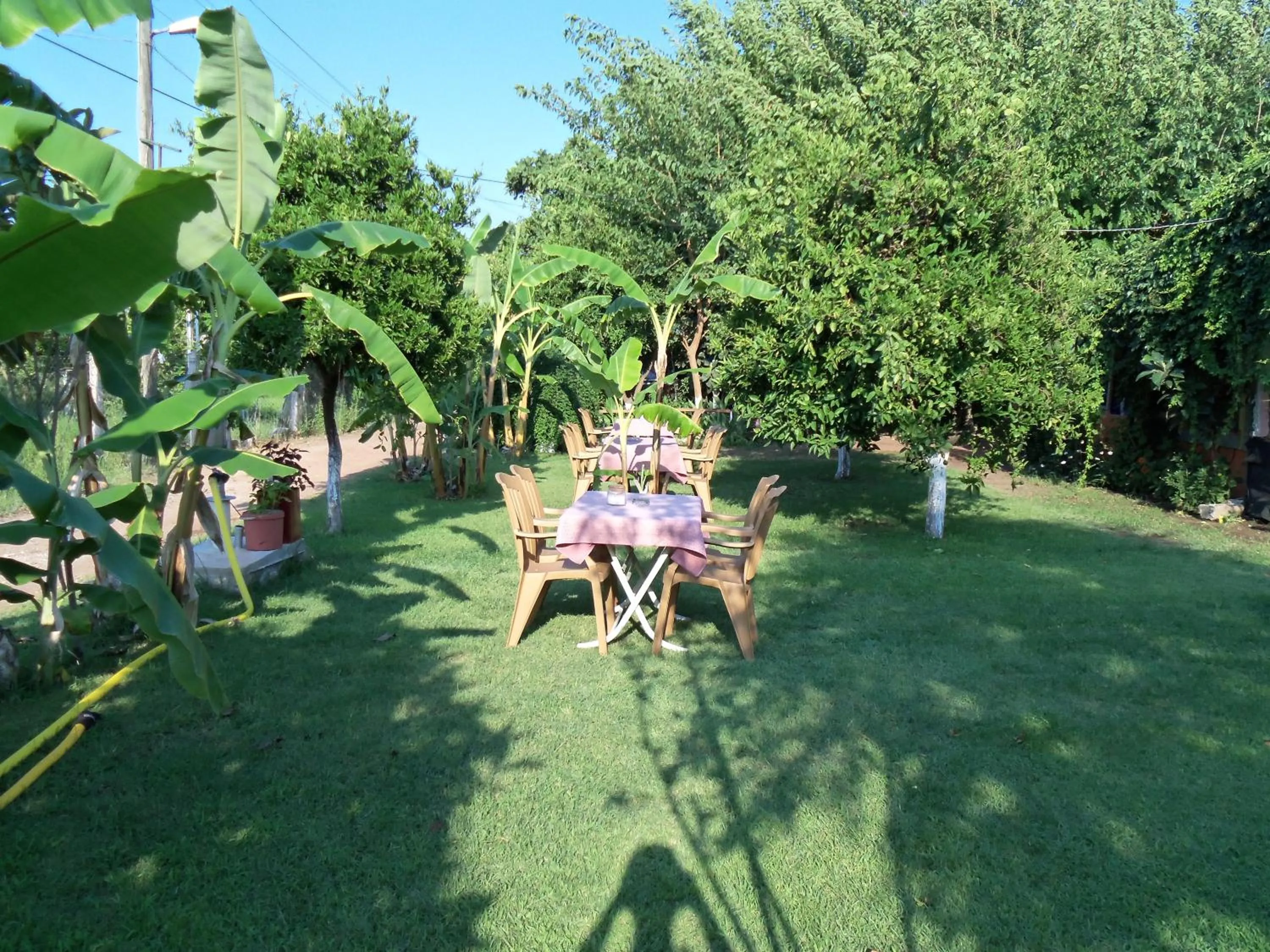 Garden in Alibaba Pension