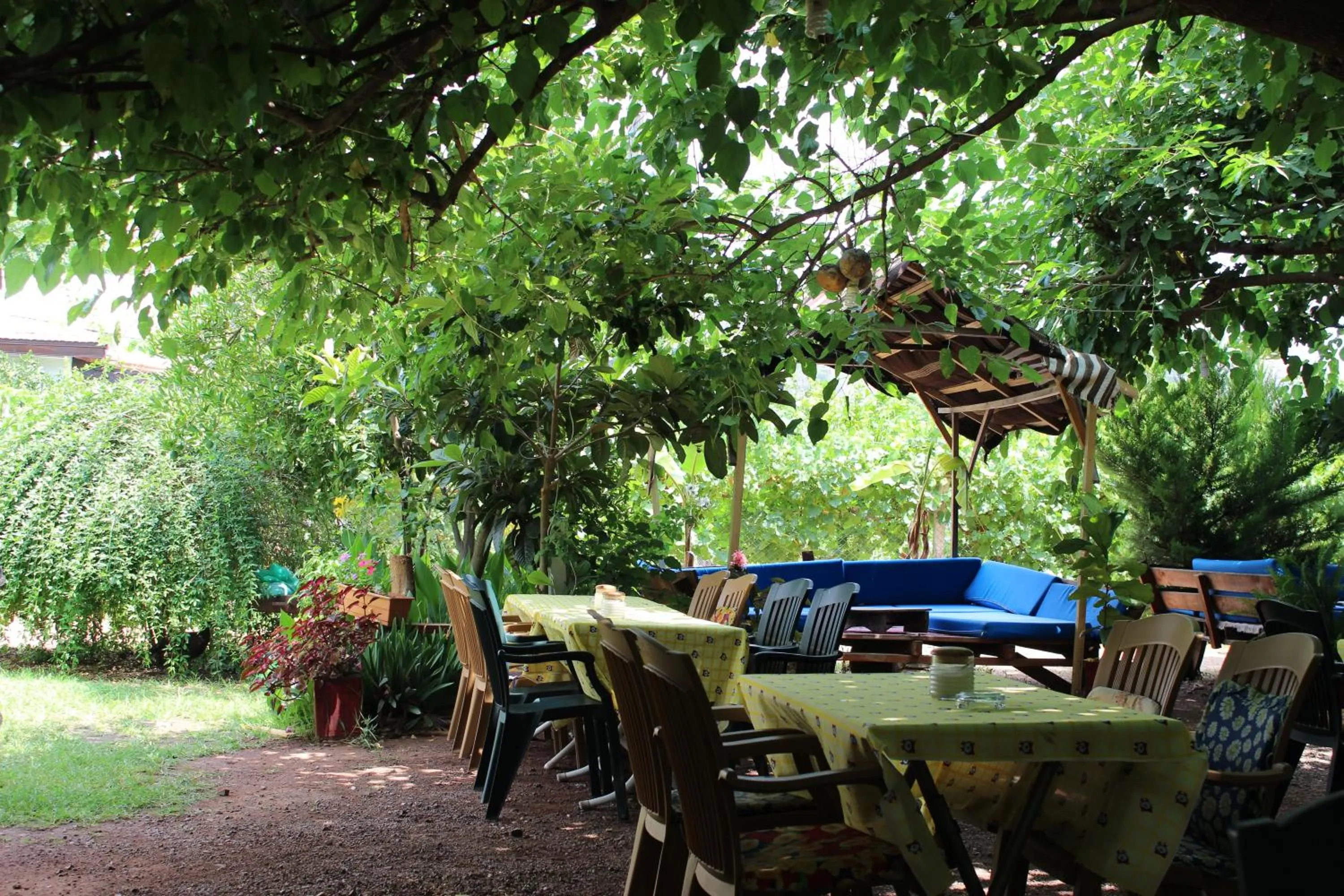 Garden in Alibaba Pension