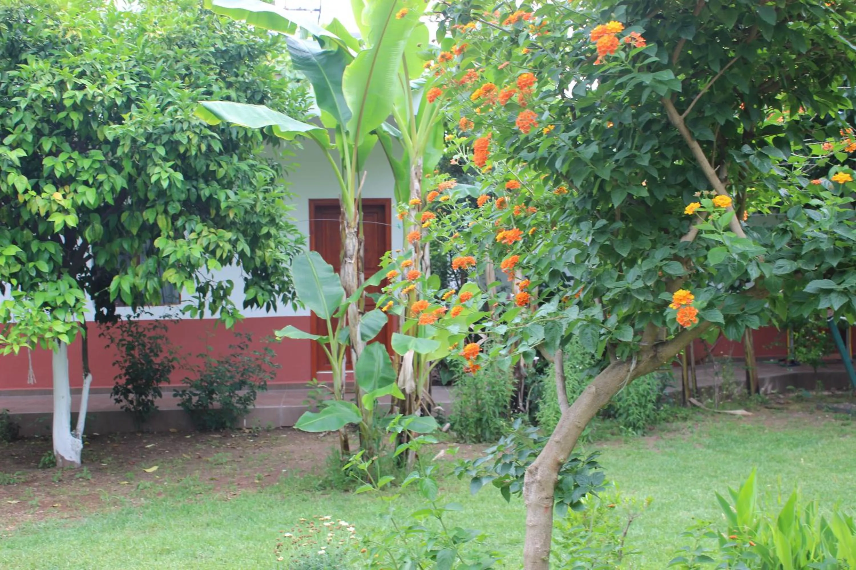Garden in Alibaba Pension