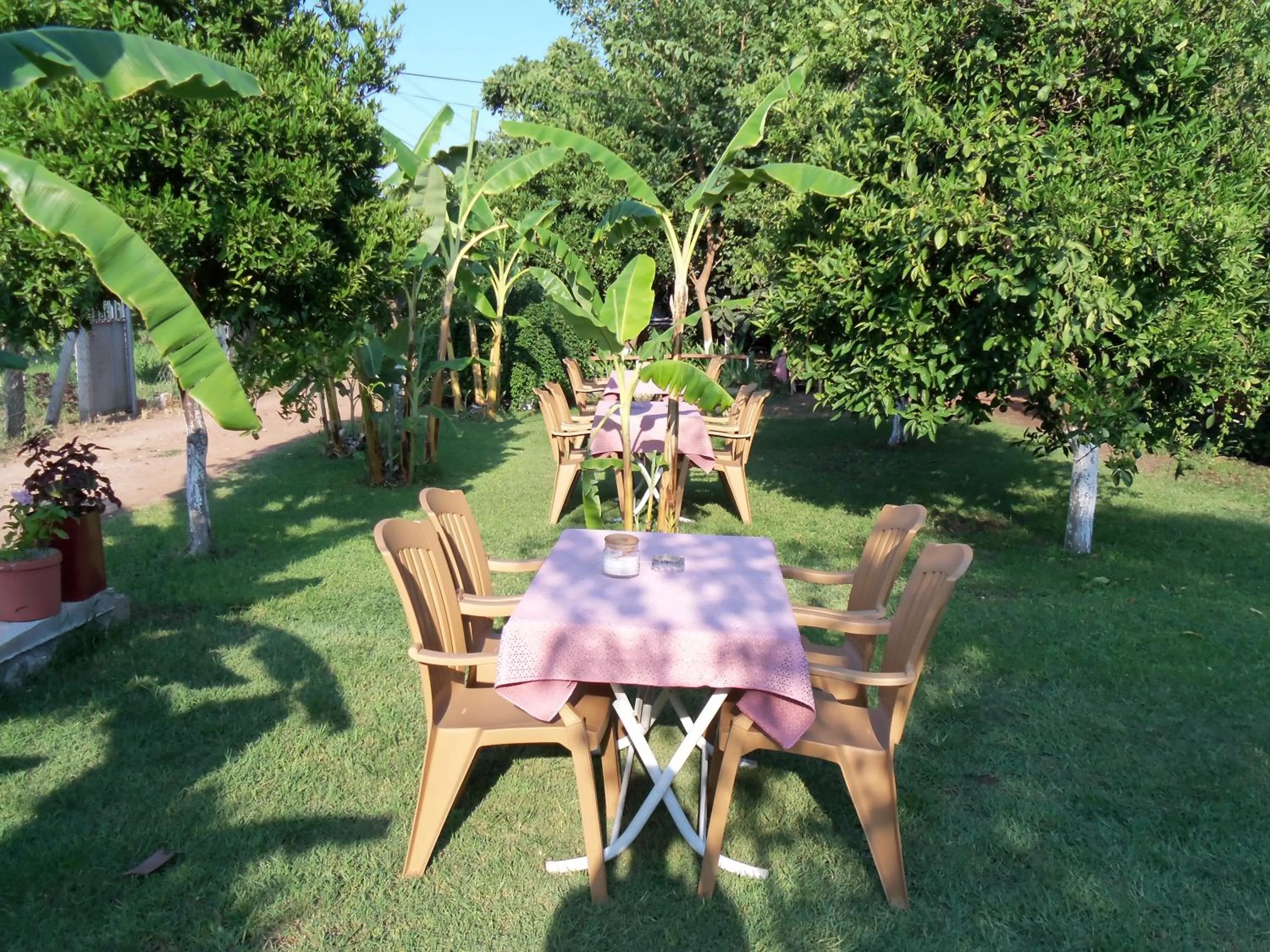 Garden in Alibaba Pension